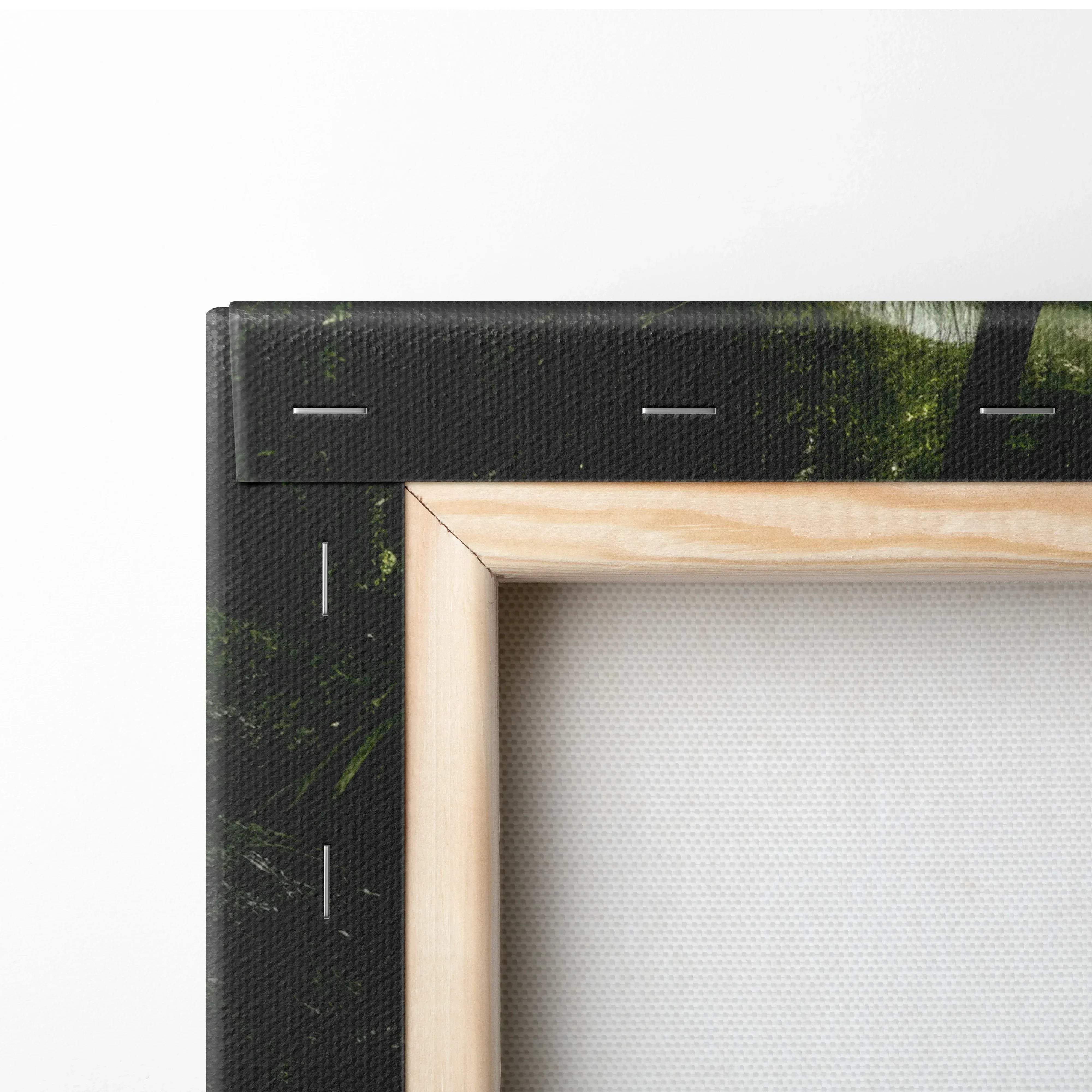 Light-colored wooden frame nature photography canvas wall art with black canvas border and white stitching details