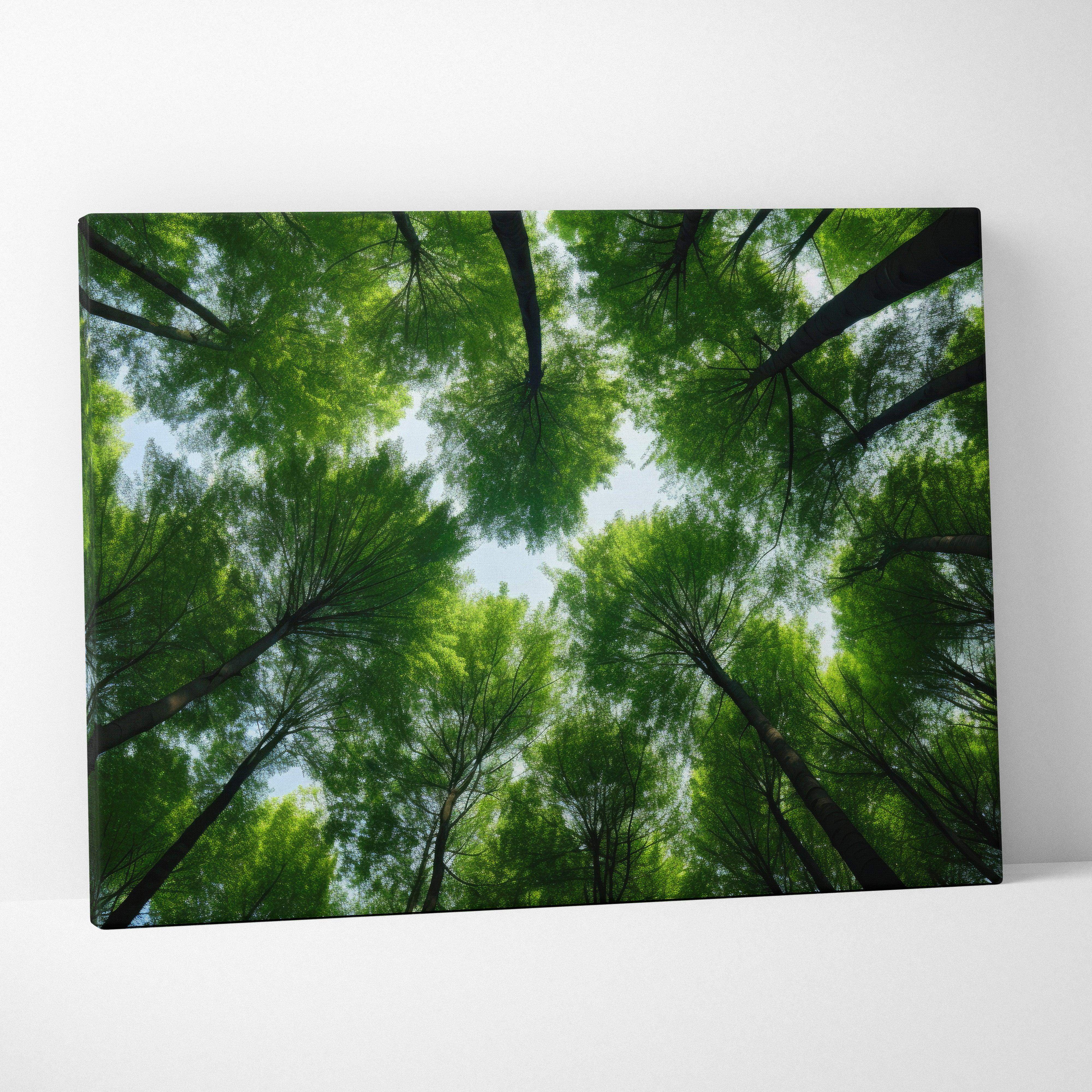 Rectangular canvas wall art featuring a vibrant green forest canopy with dark trunks and pale blue sky background