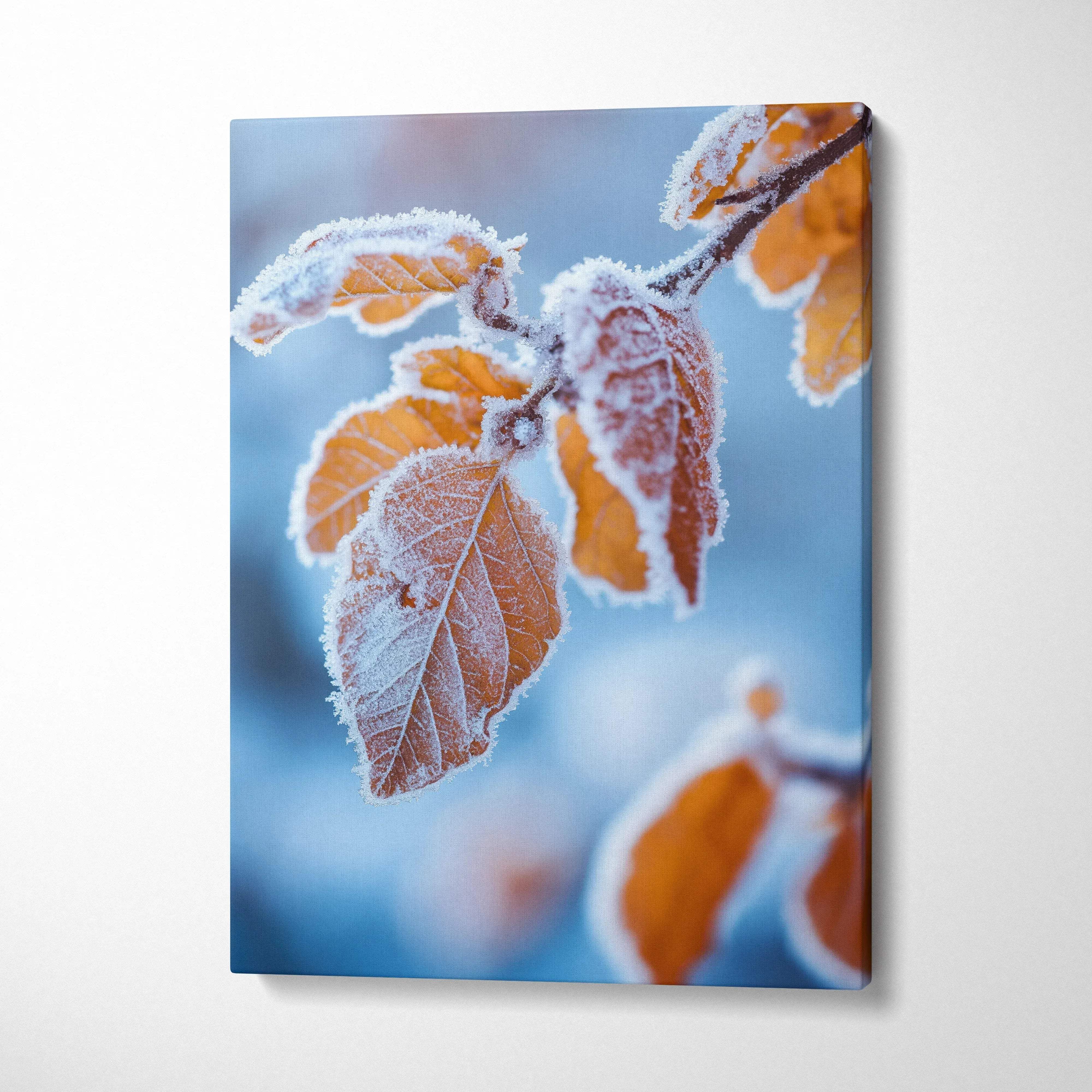 Canvas art featuring frosted orange autumn leaves against a blurred blue background, vibrant wall art.