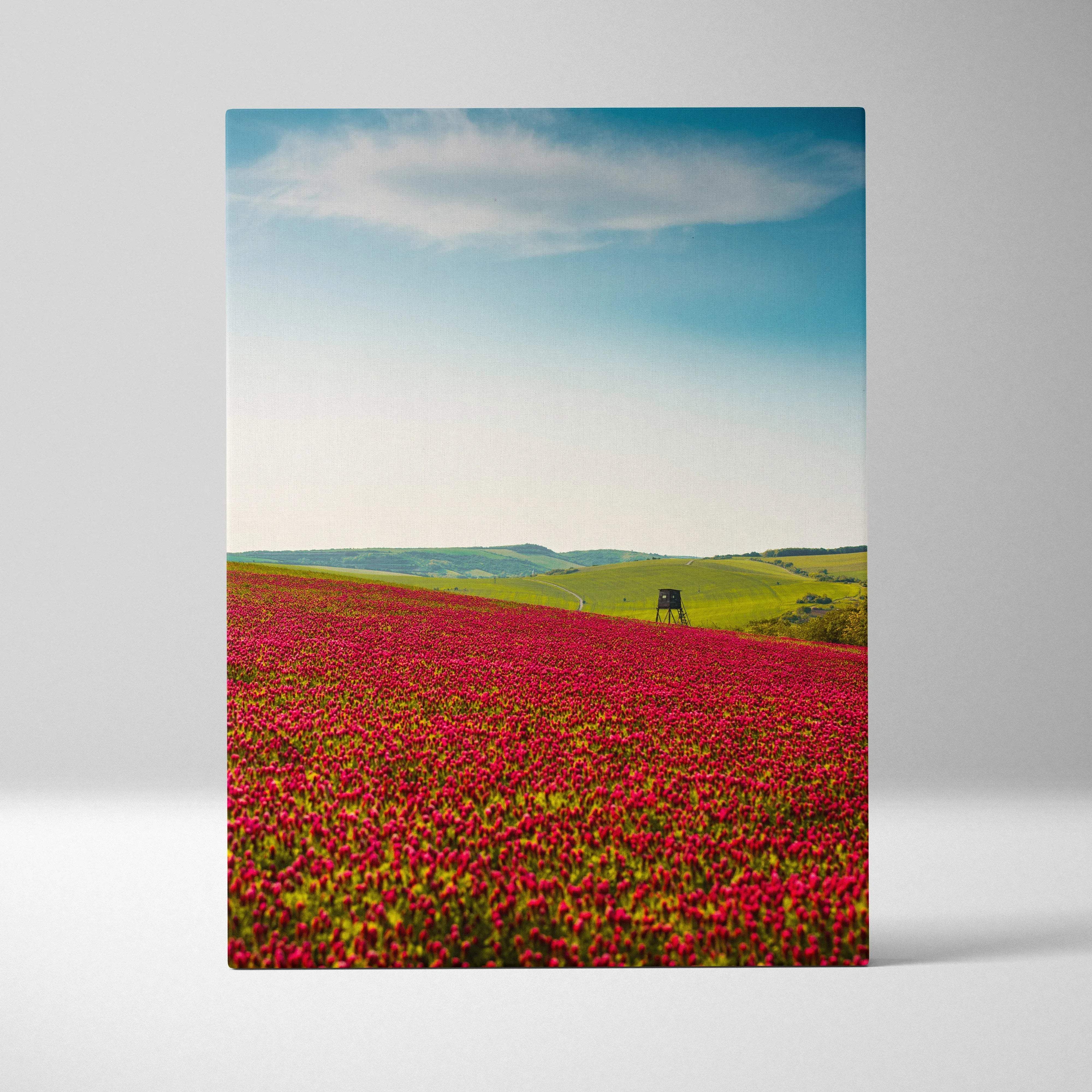 Vibrant red poppy field canvas wall art under blue sky for modern decor