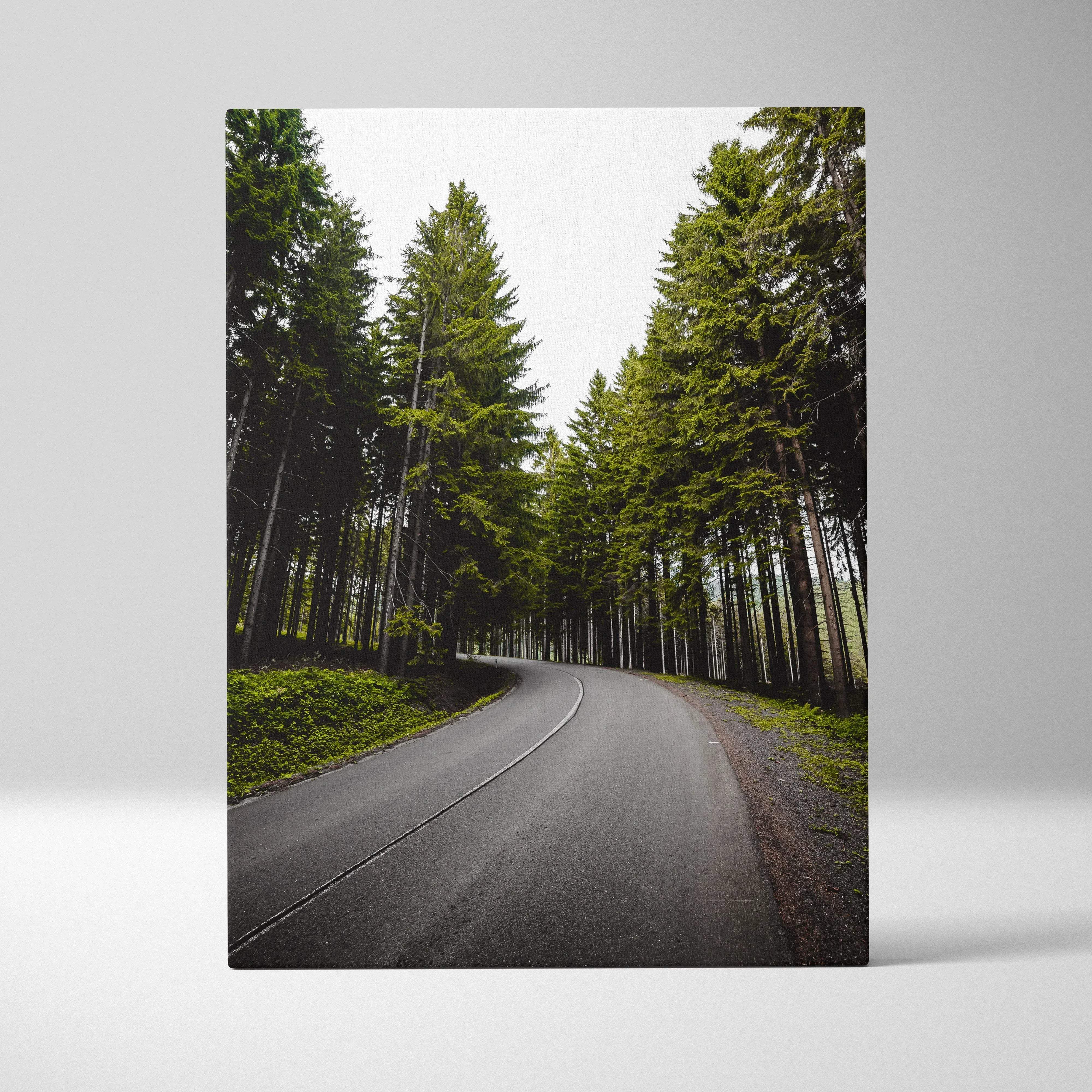 A rectangular canvas print of a winding asphalt road with tall evergreen trees under an overcast sky for living room decor