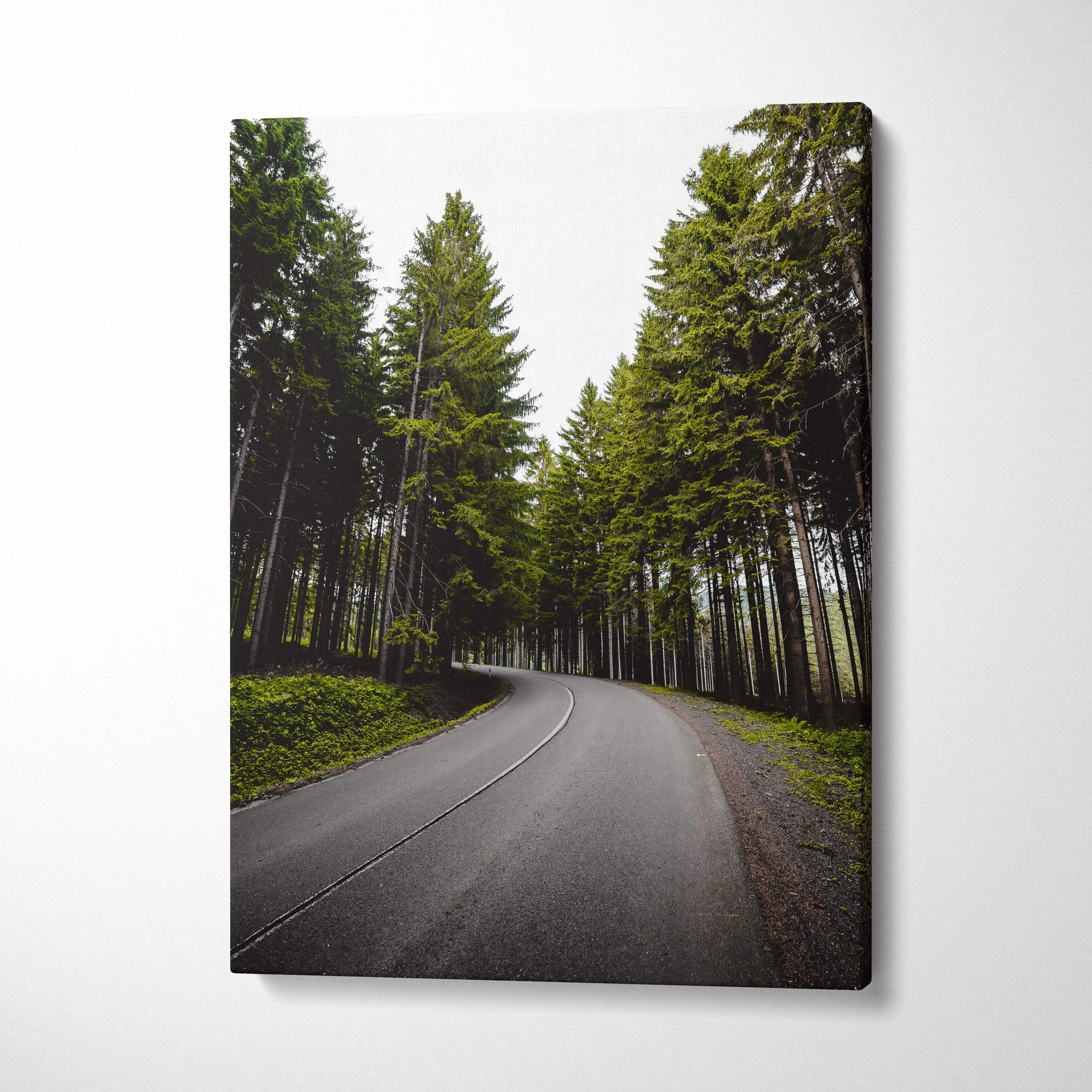 Vertical canvas wall art featuring a winding forest road at sunset with tall green trees, home decor.