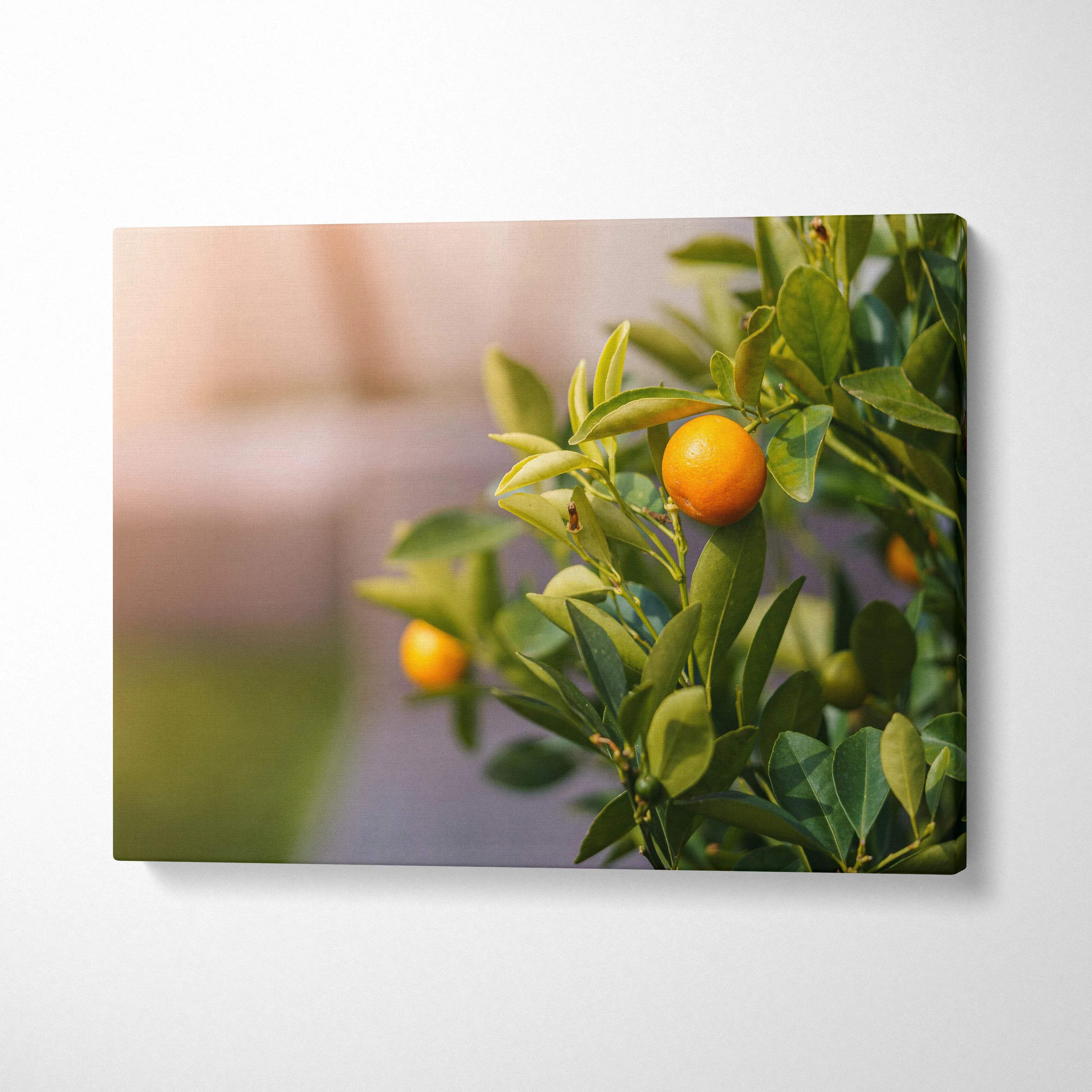 Canvas wall art featuring a close-up of a mandarin tree branch with ripe orange fruits and green leaves.
