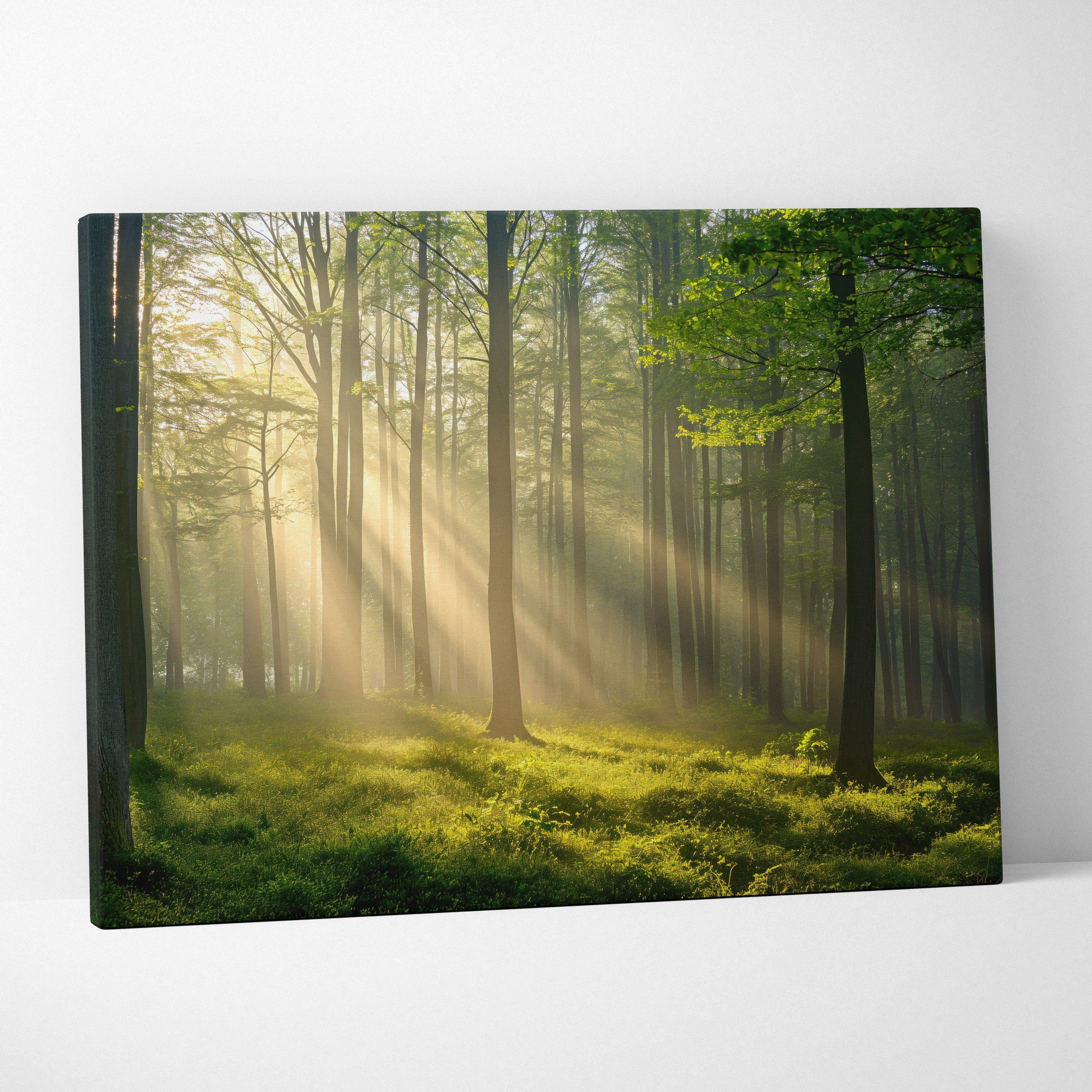 Rectangular canvas wall art of a sunlit forest scene with golden rays through tall ancient trees and lush green undergrowth