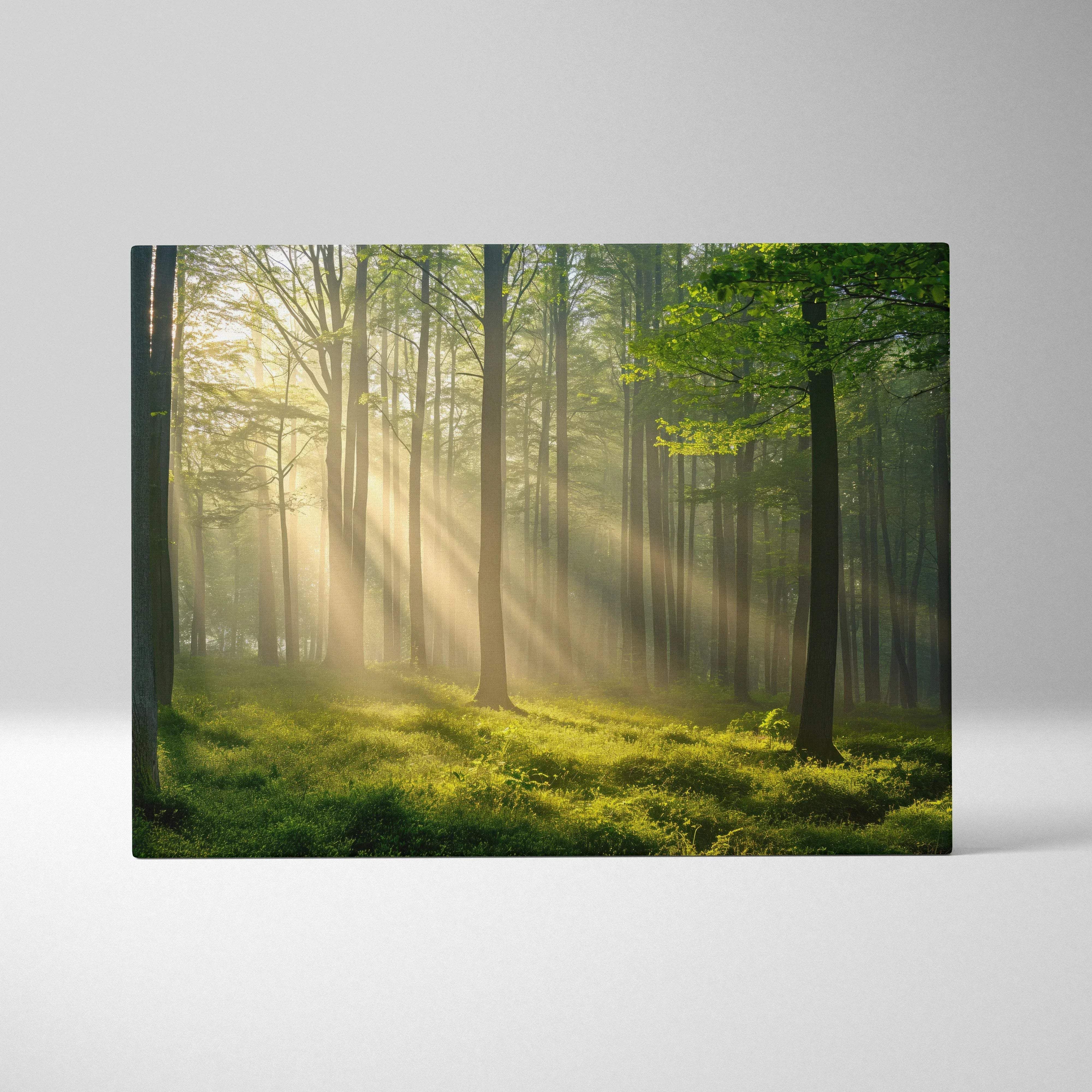Rectangular canvas wall art of a sunlit forest scene with golden rays through tall green trees and misty air