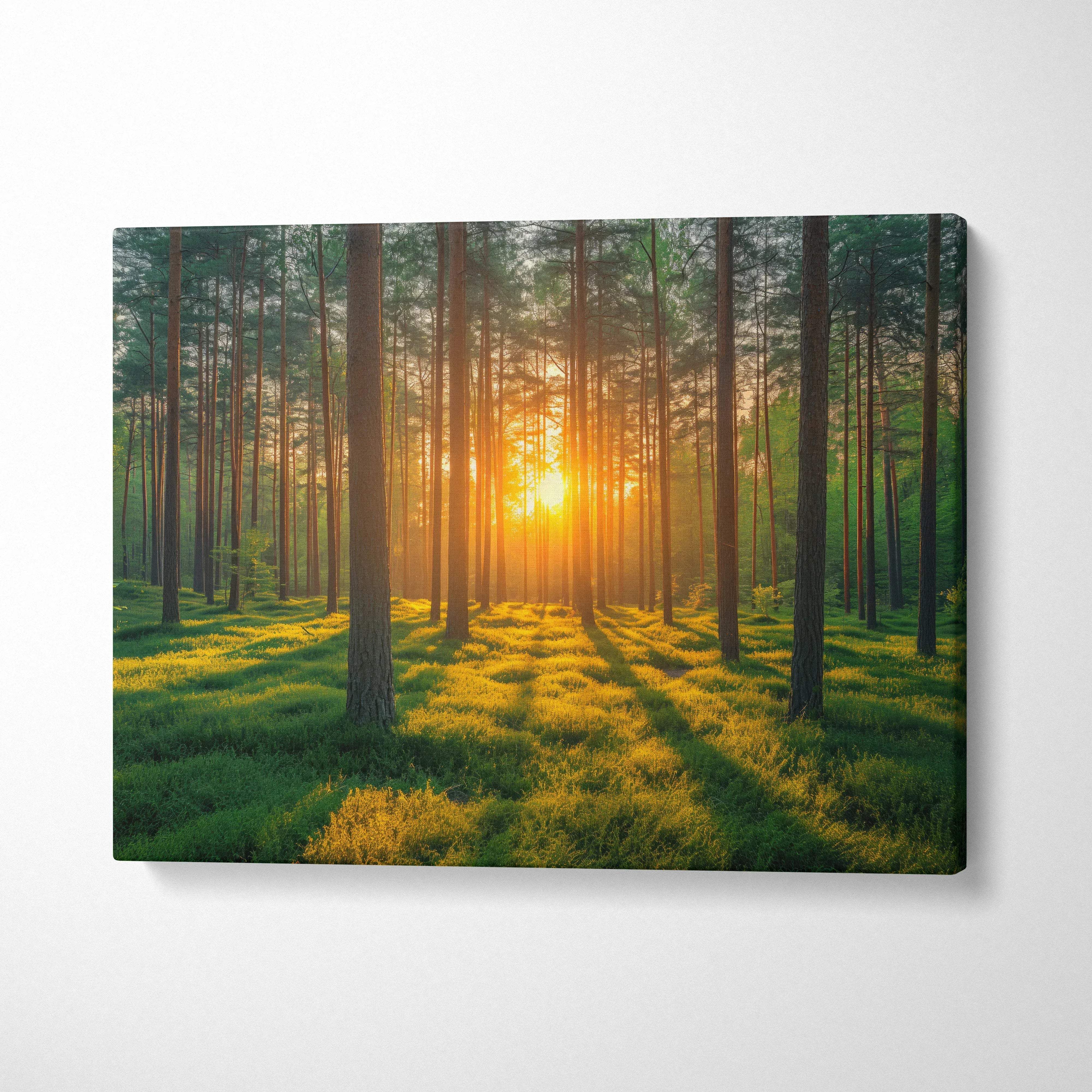 Exquisite Forest Sunset Canvas Art Print For Home Wall Decoration ...