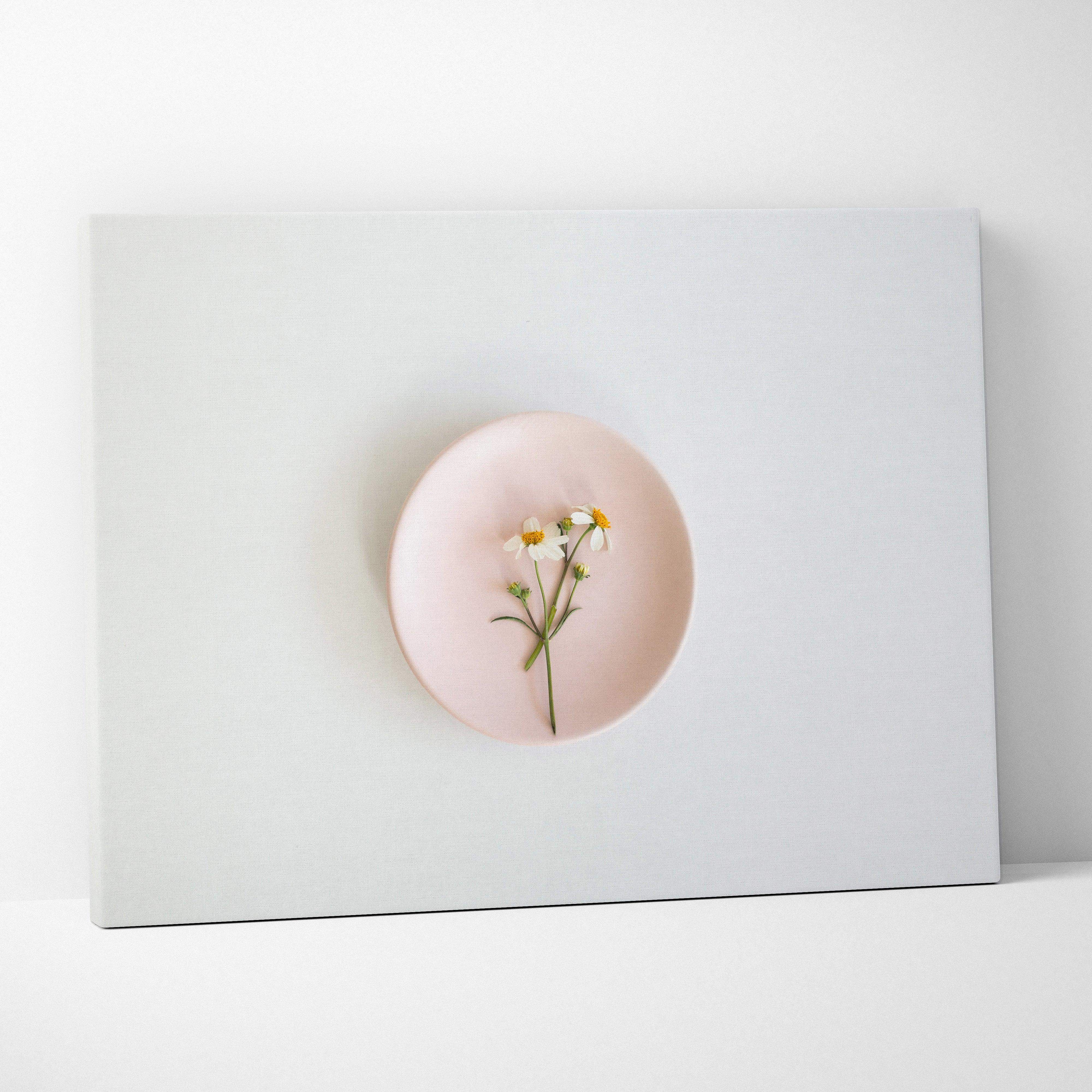 A delicate pink ceramic plate with dried white daisies canvas wall art for modern living rooms pastel decor