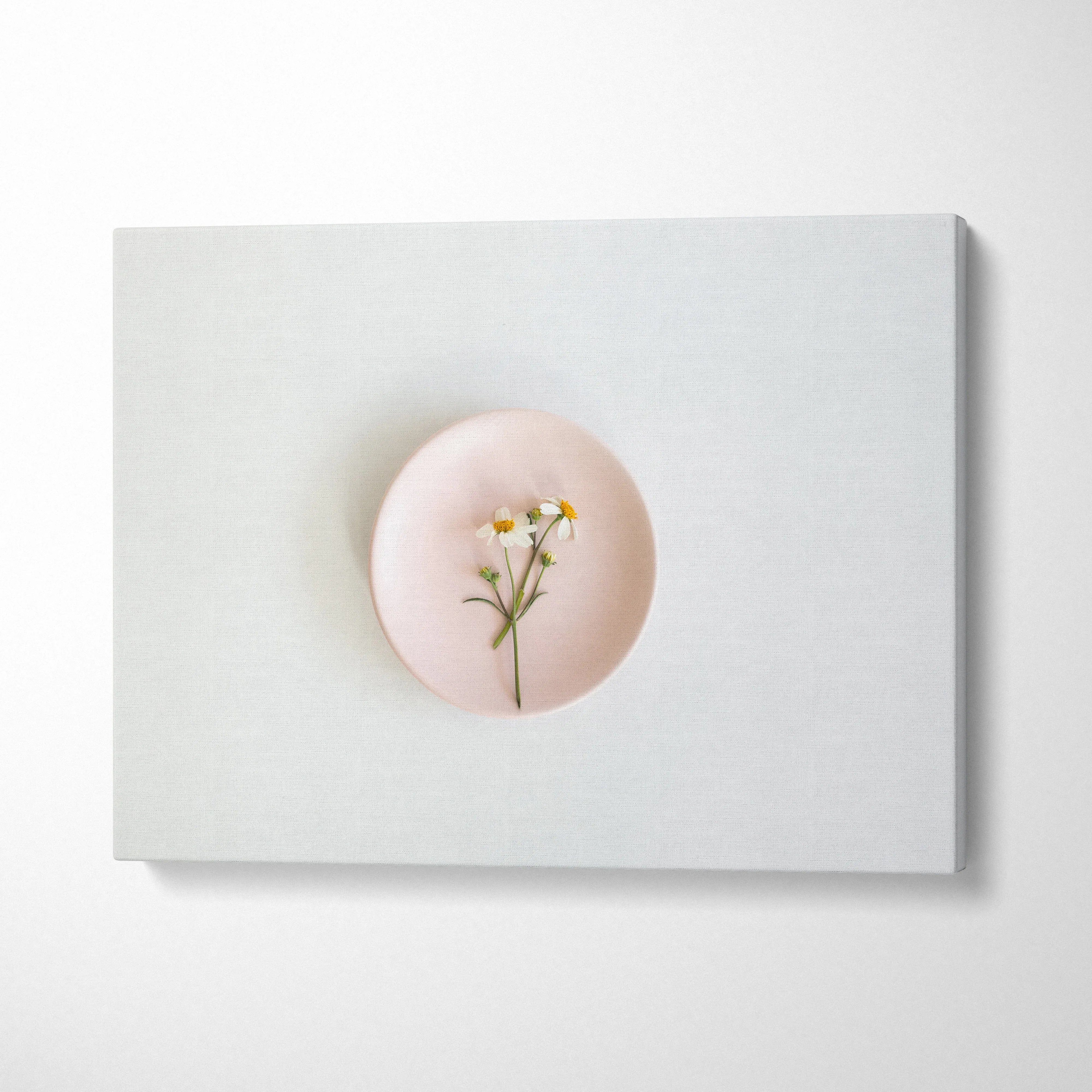 Minimalist canvas wall art featuring a pink plate with delicate white flowers for home decor.