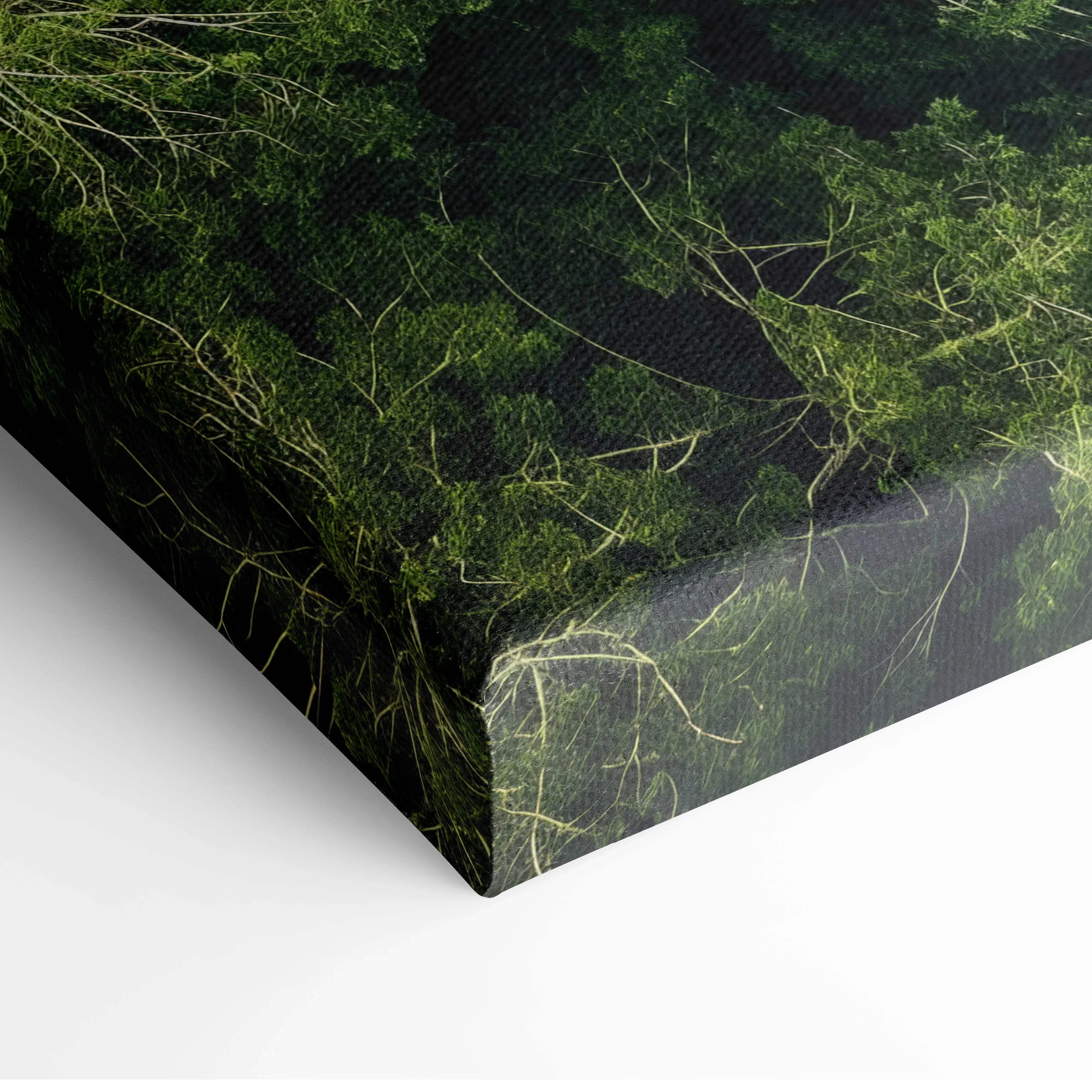 Canvas print of a serene forest river aerial landscape with dense green foliage and intricate light tree branches