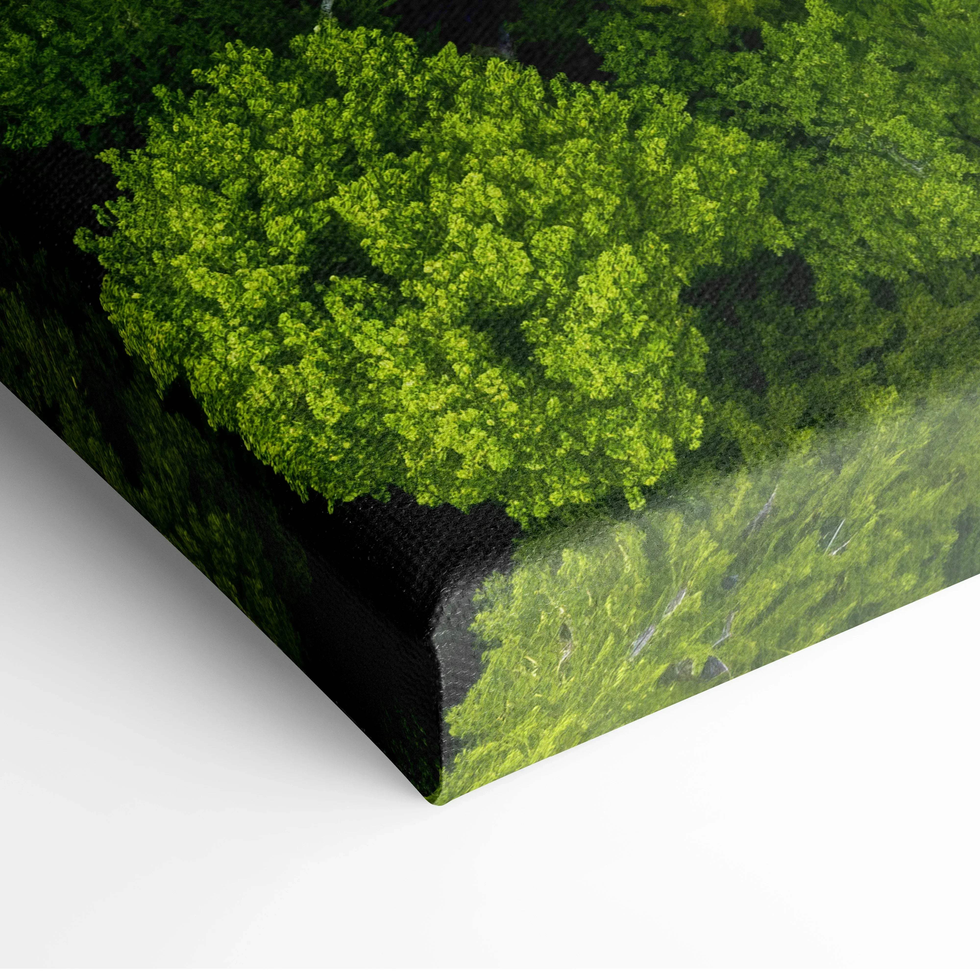 Aerial forest landscape canvas wall art showing vibrant green forest canopy with dense foliage and dark shadows