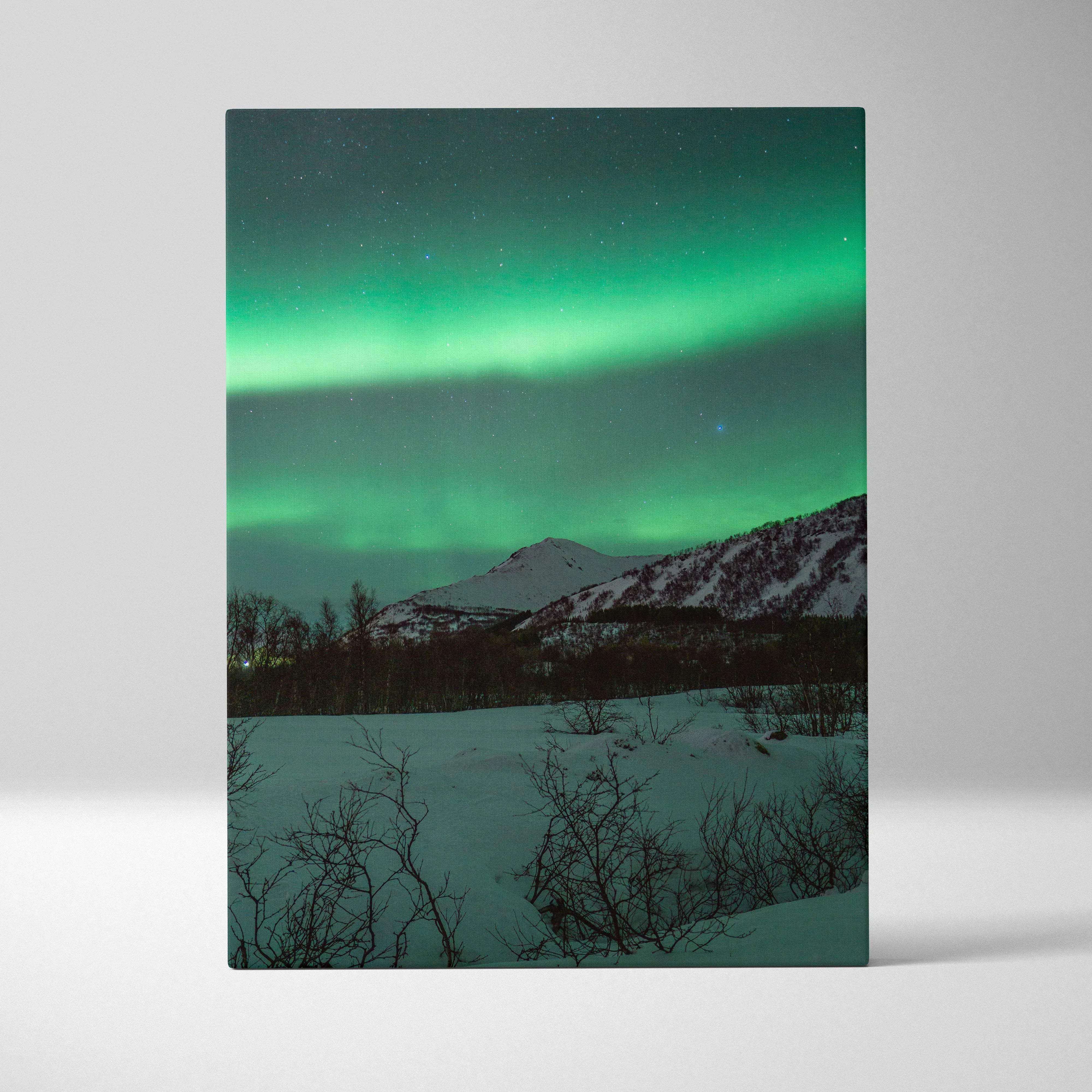 Rectangular canvas print of vibrant green aurora borealis over snowy mountains and trees under starry night sky