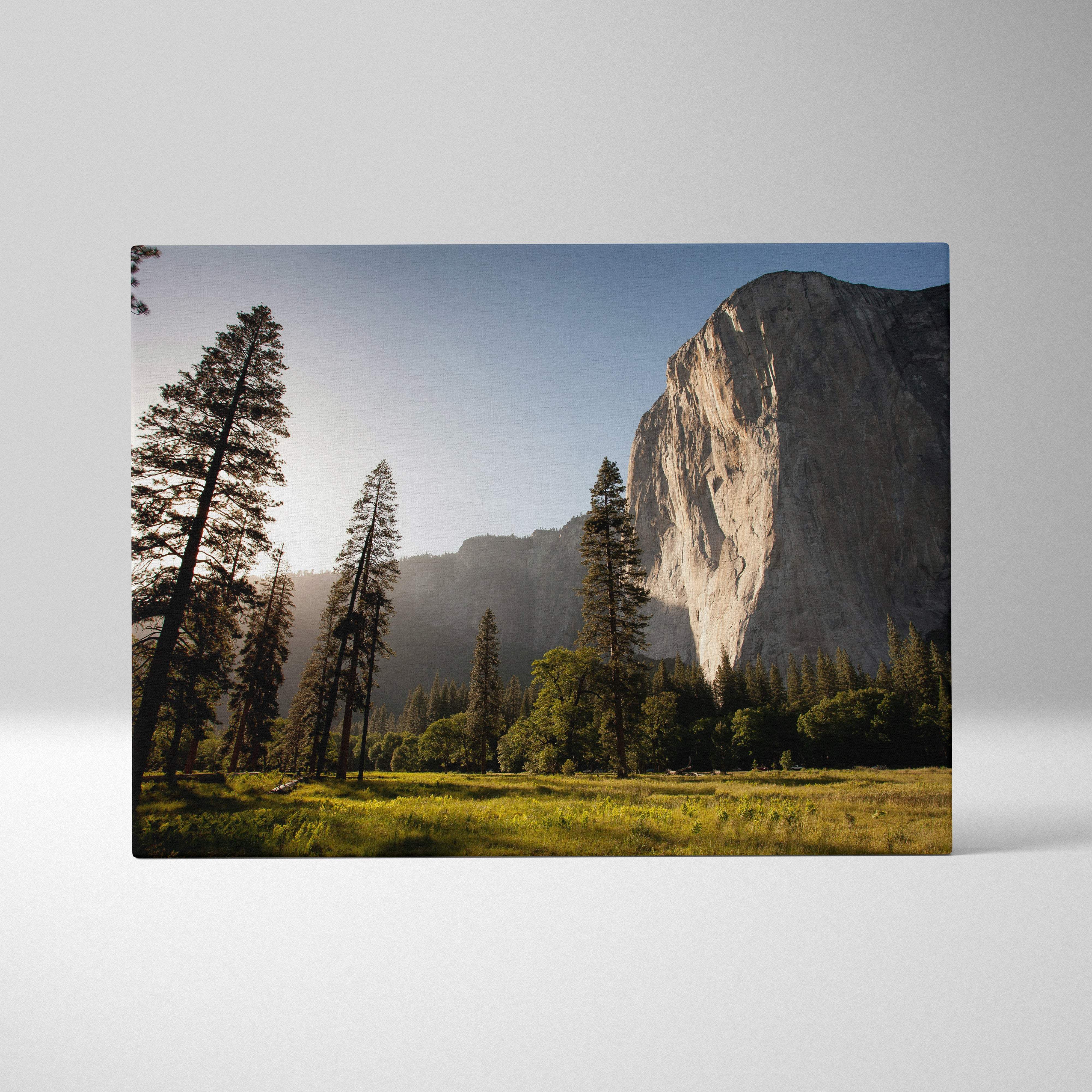 A rectangular canvas print of a golden sunlit yosemite cliff with evergreen trees for serene nature wall decor