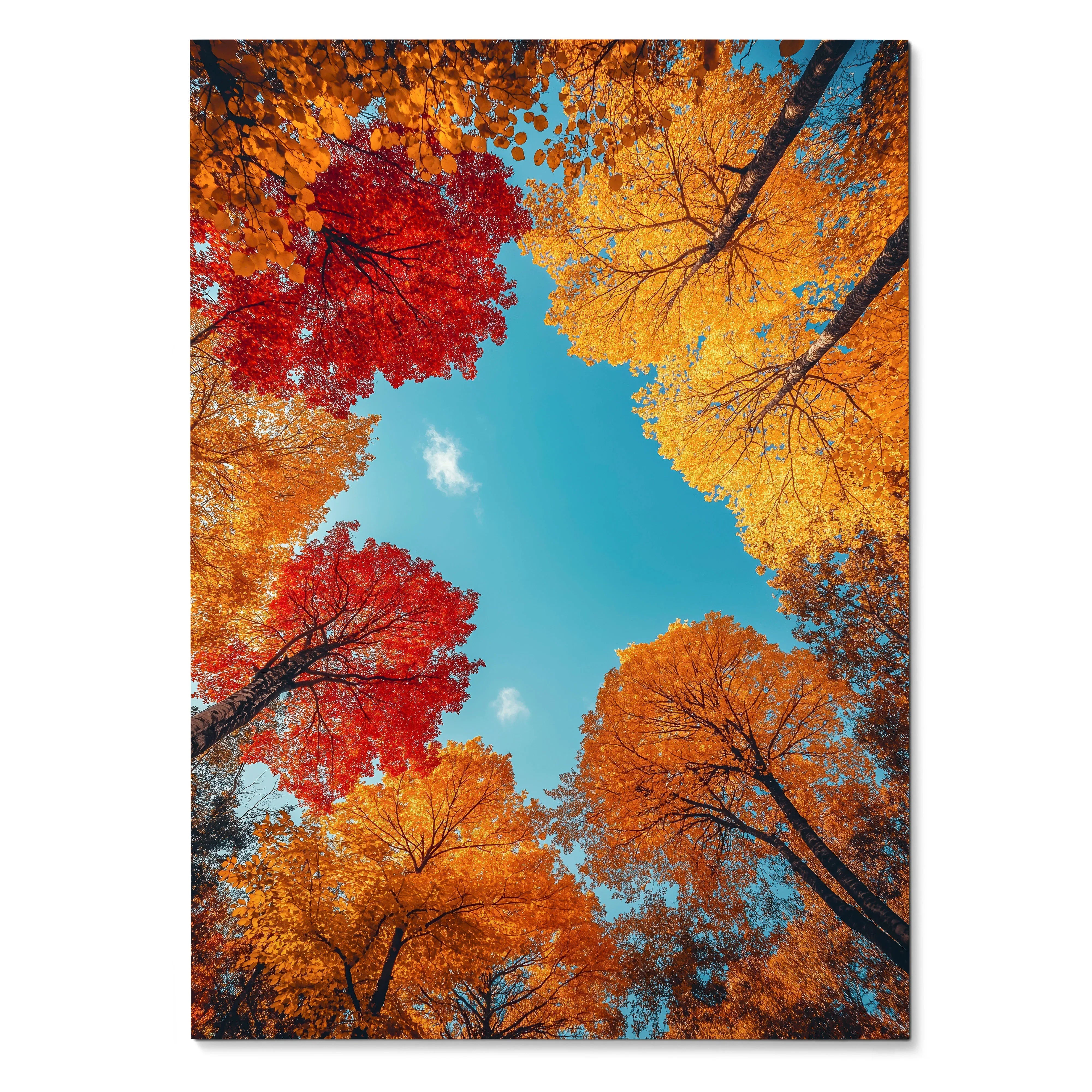 Vertical poster wall art of colorful autumn forest trees with red, orange, and yellow leaves against a bright blue sky.