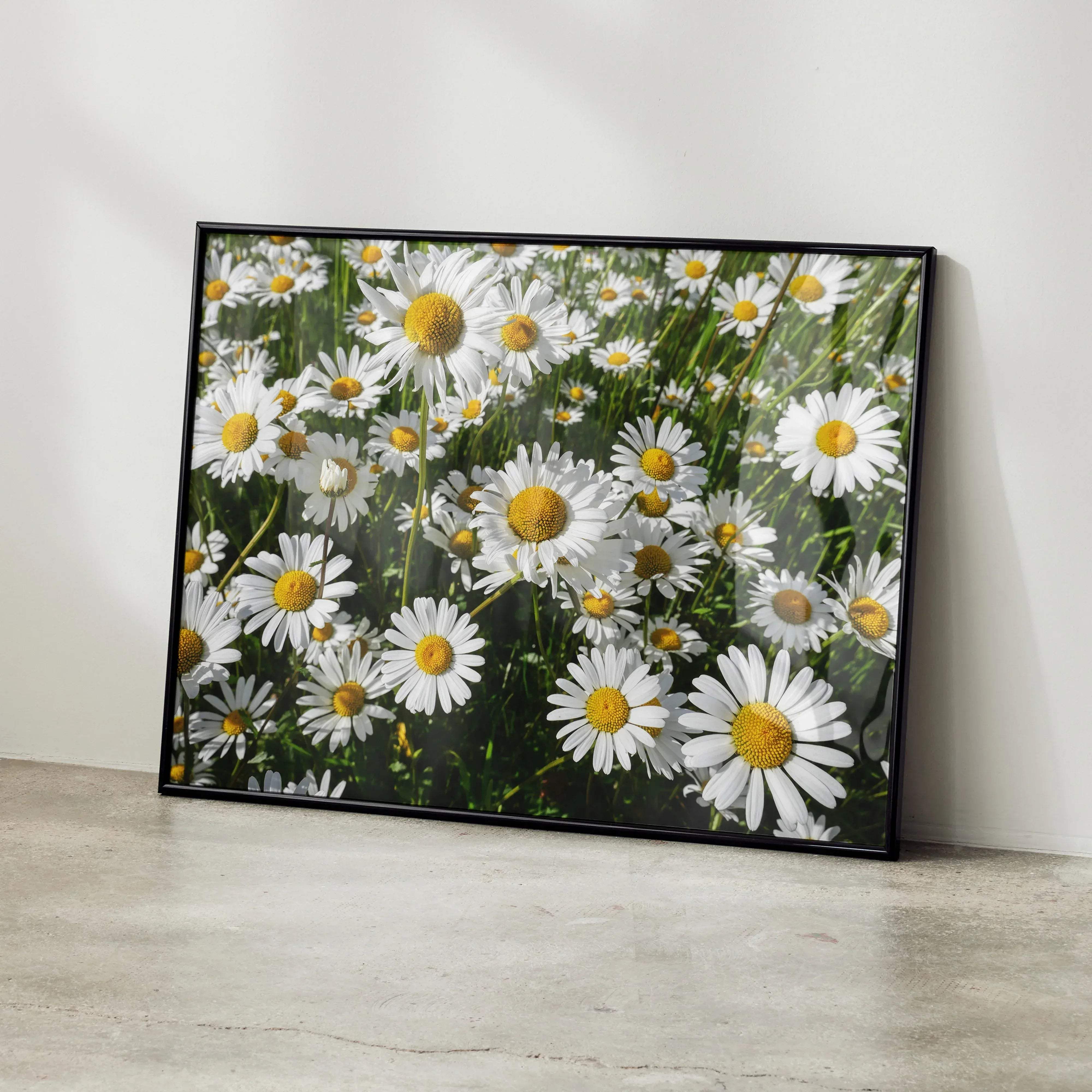 Black-framed vibrant floral art print poster featuring a colorful field of white daisies with yellow centers for wall decor