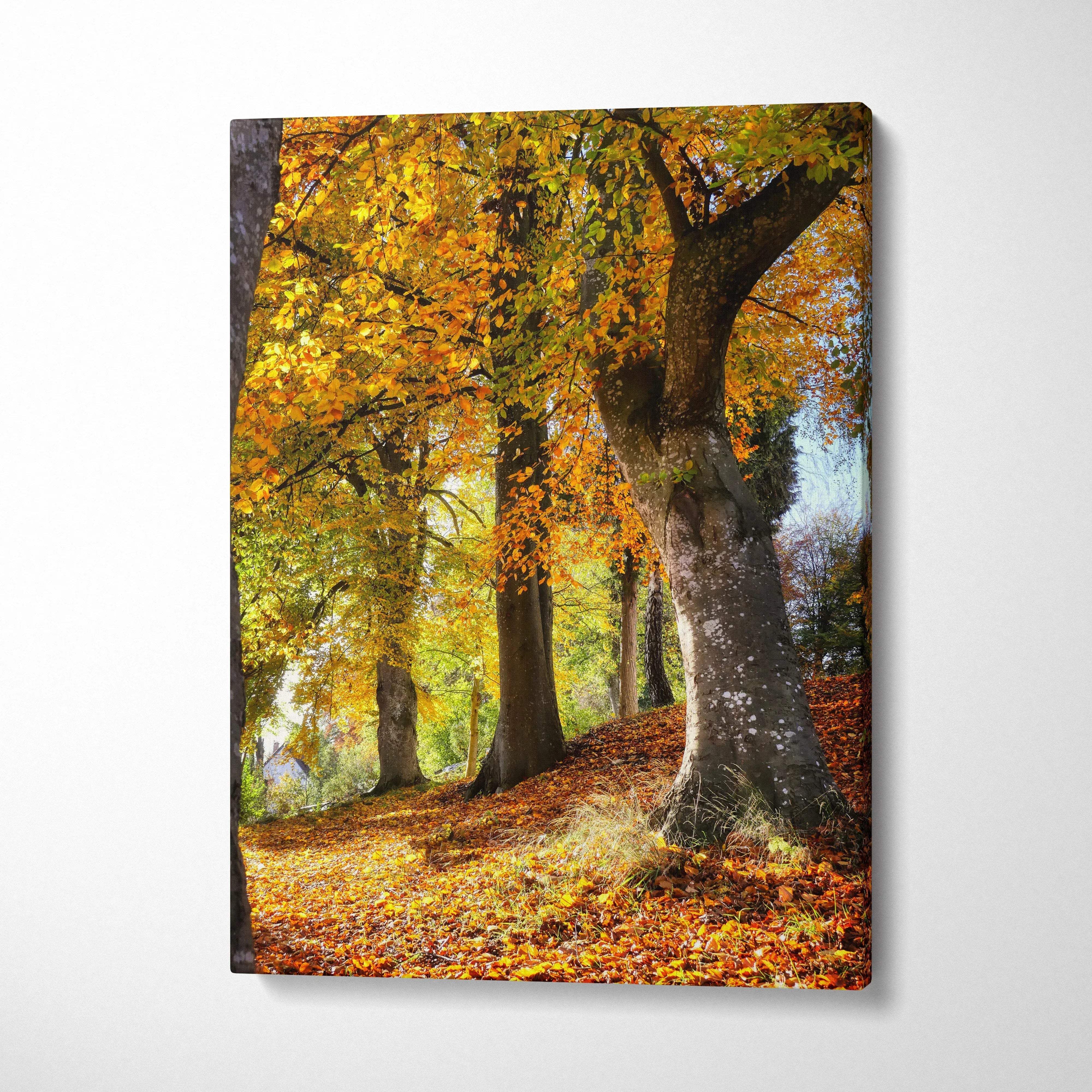 Vertical canvas wall art featuring vibrant autumn trees with golden leaves and sunlit forest floor.