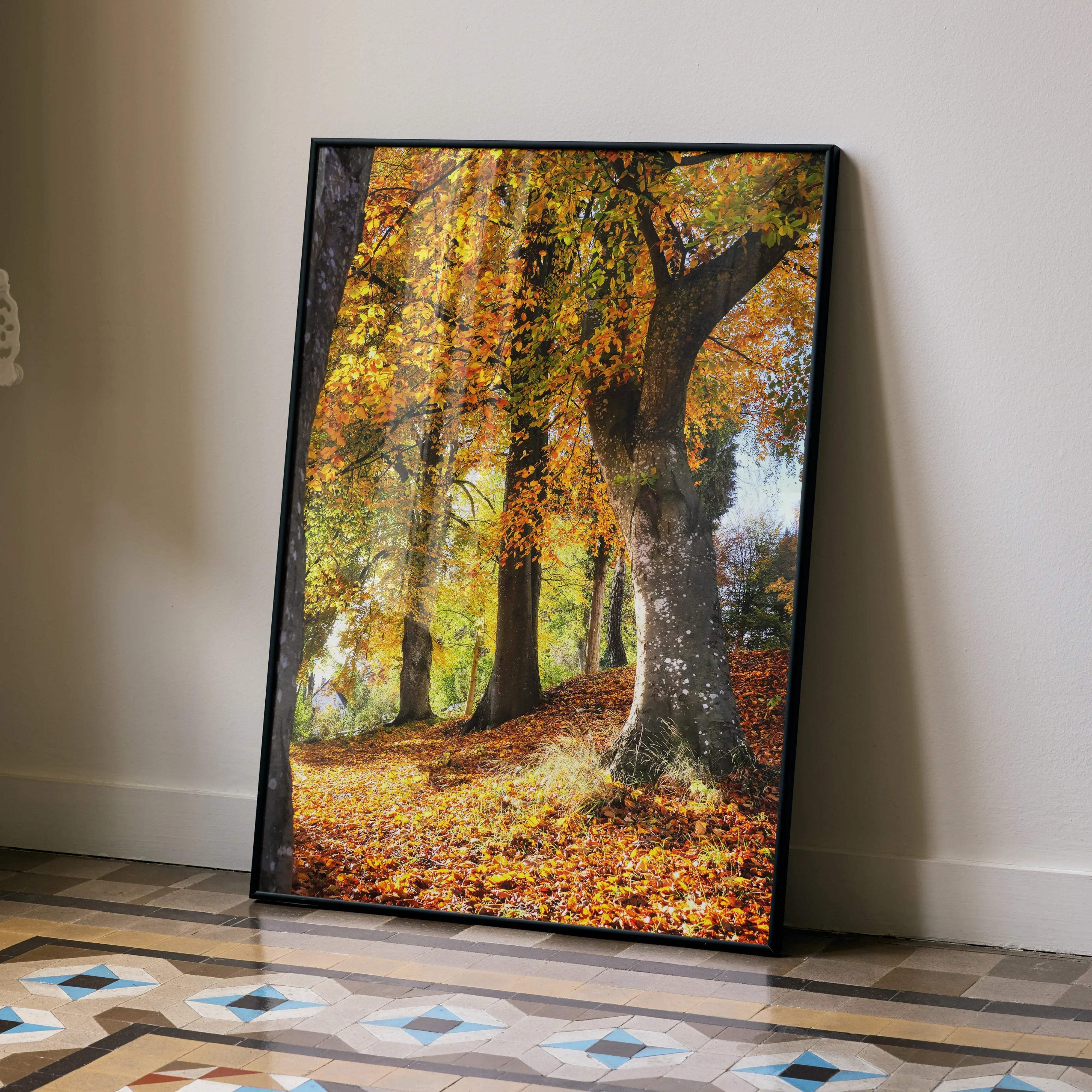 A framed canvas print of serene autumn forest nature wall art with golden orange leaves and sunlight filtering through trees
