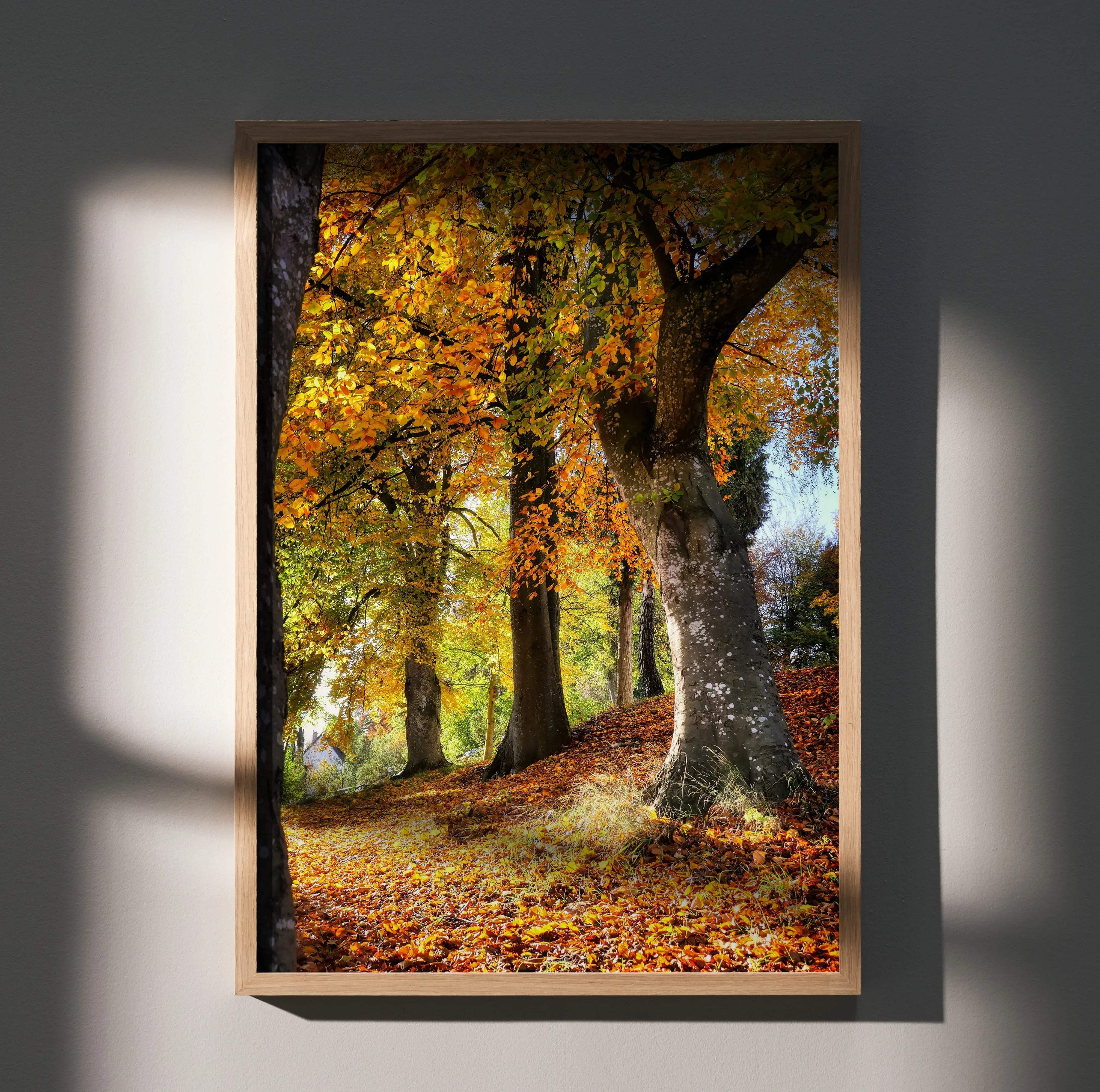 A framed serene autumn forest nature wall art poster with golden and orange leaves in a light wood frame