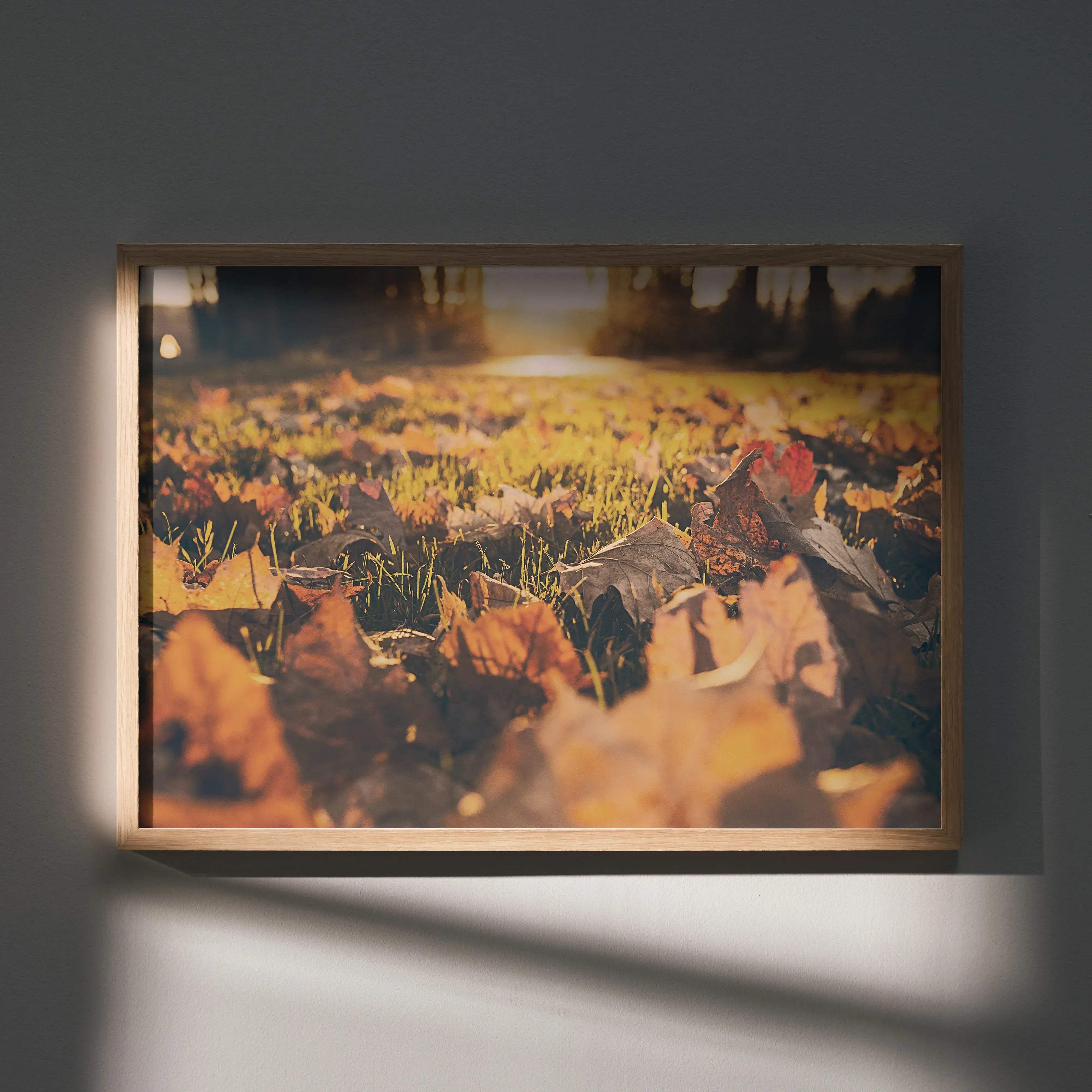 A rectangular framed photograph with a light wood frame showcasing vibrant autumn leaves in orange and brown hues under golden sunlight