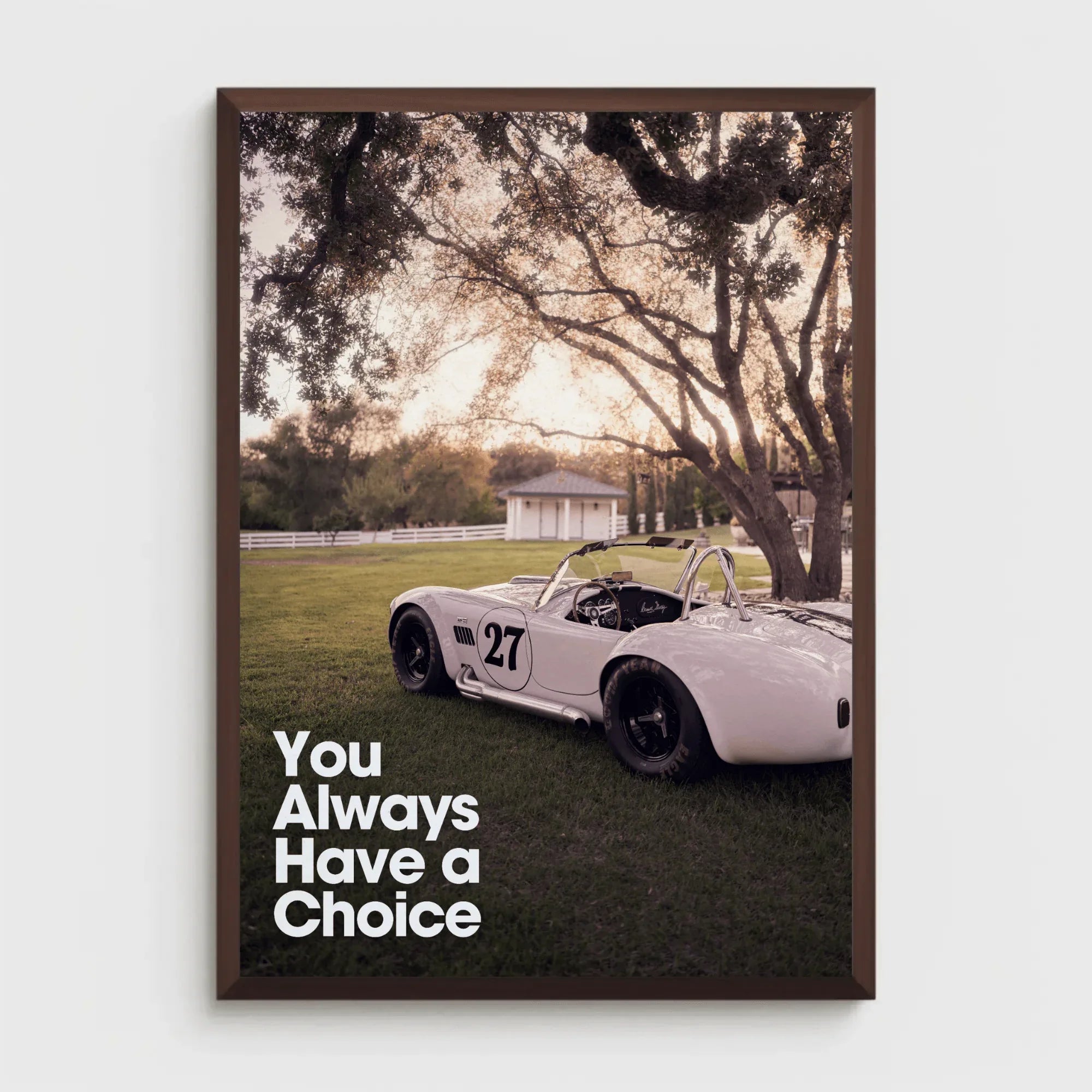 Shelby Cobra parked on grass under trees with "You Always Have a Choice" motivational poster wall art.