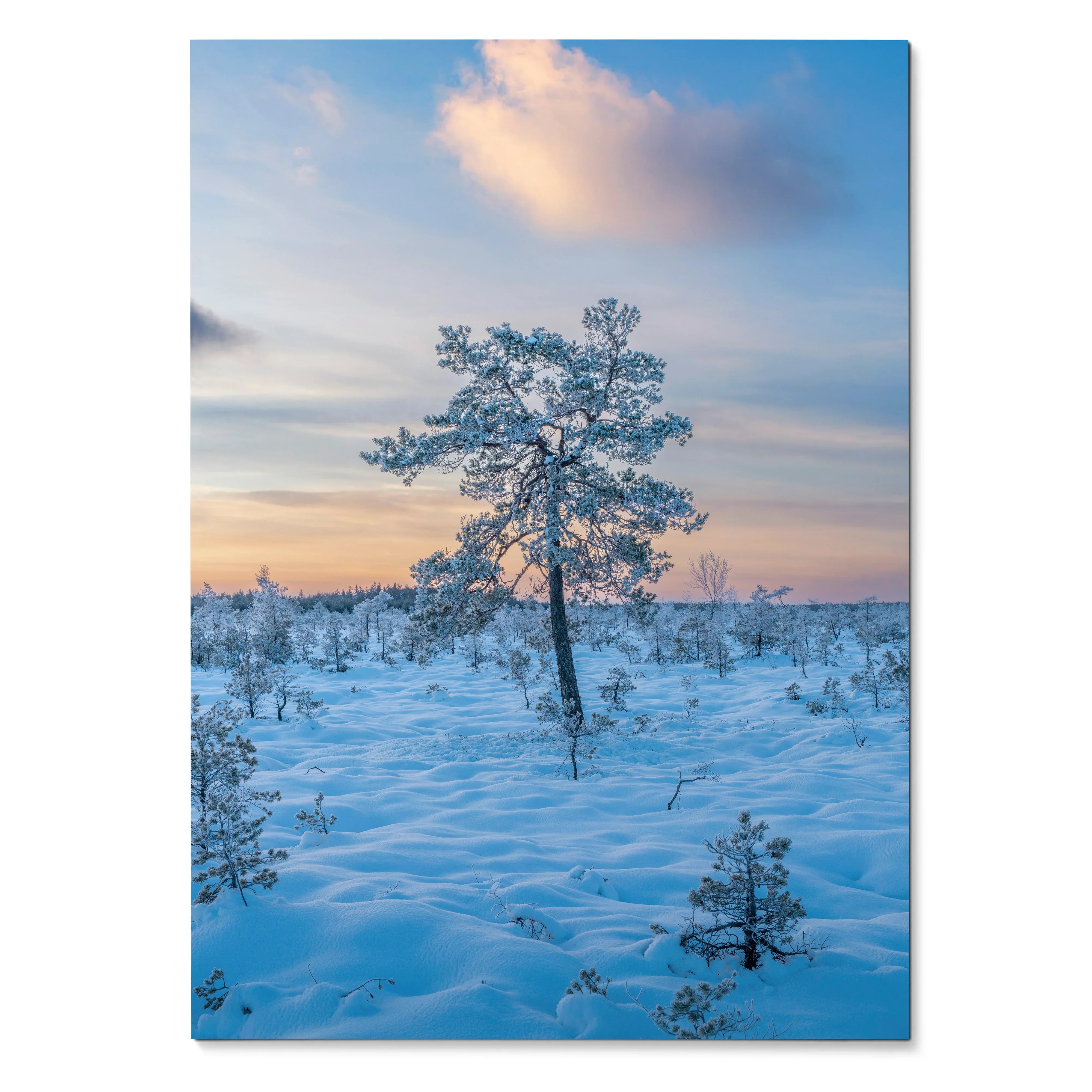 Serene snowy landscape with solitary tree at sunset in vertical poster wall art.