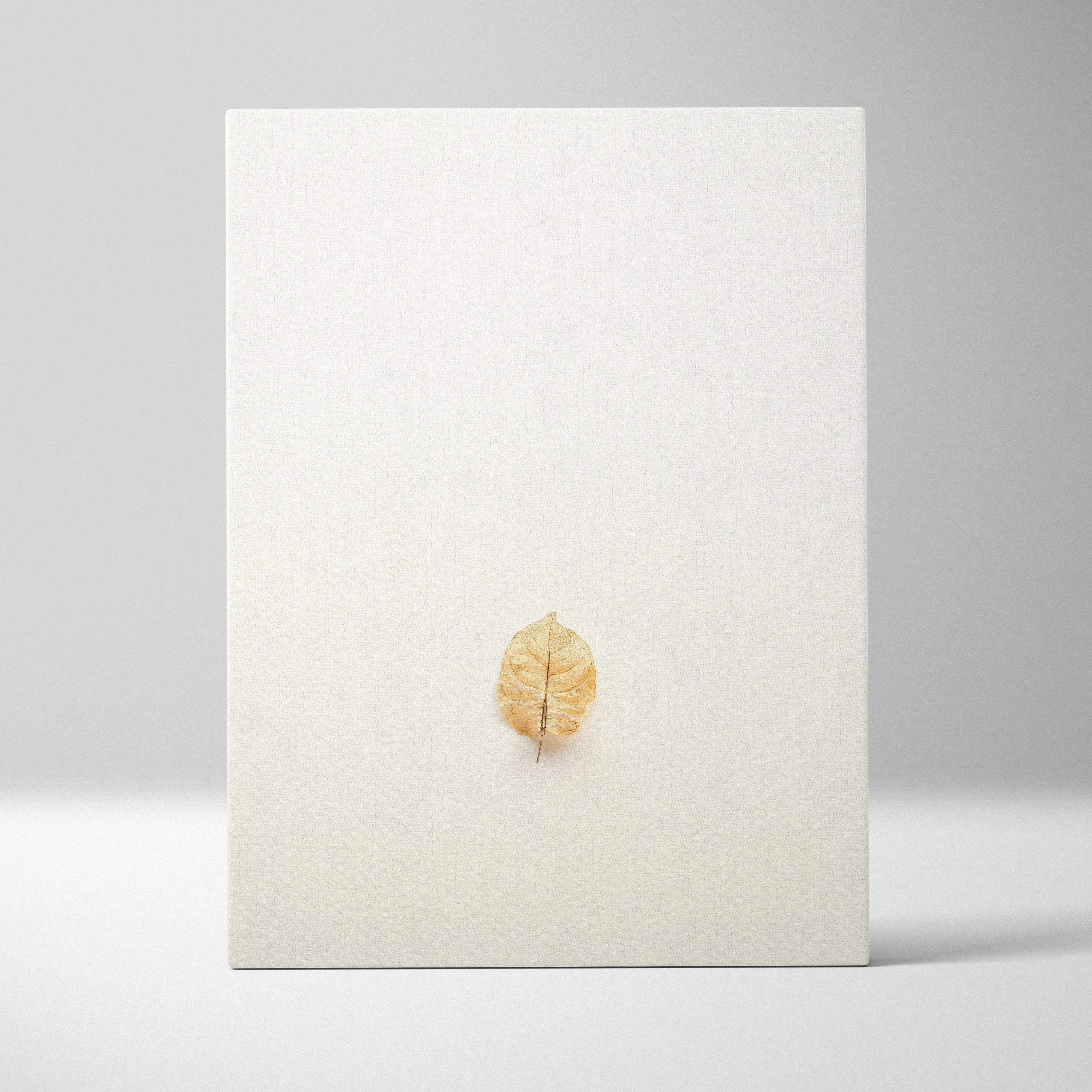 Minimalist golden-brown pressed leaf on warm beige canvas wall art
