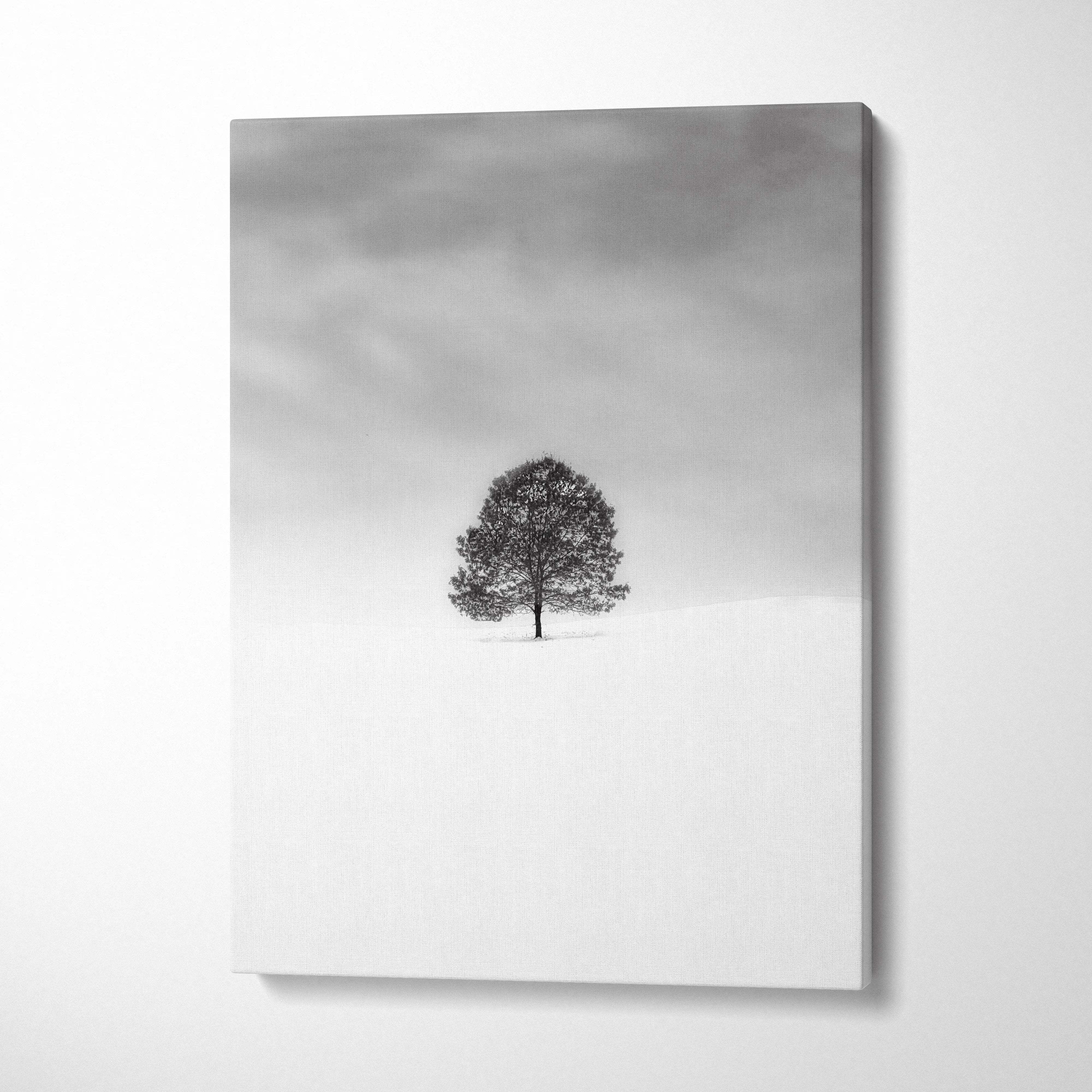 Minimalist black and white lone tree in snowy field canvas print