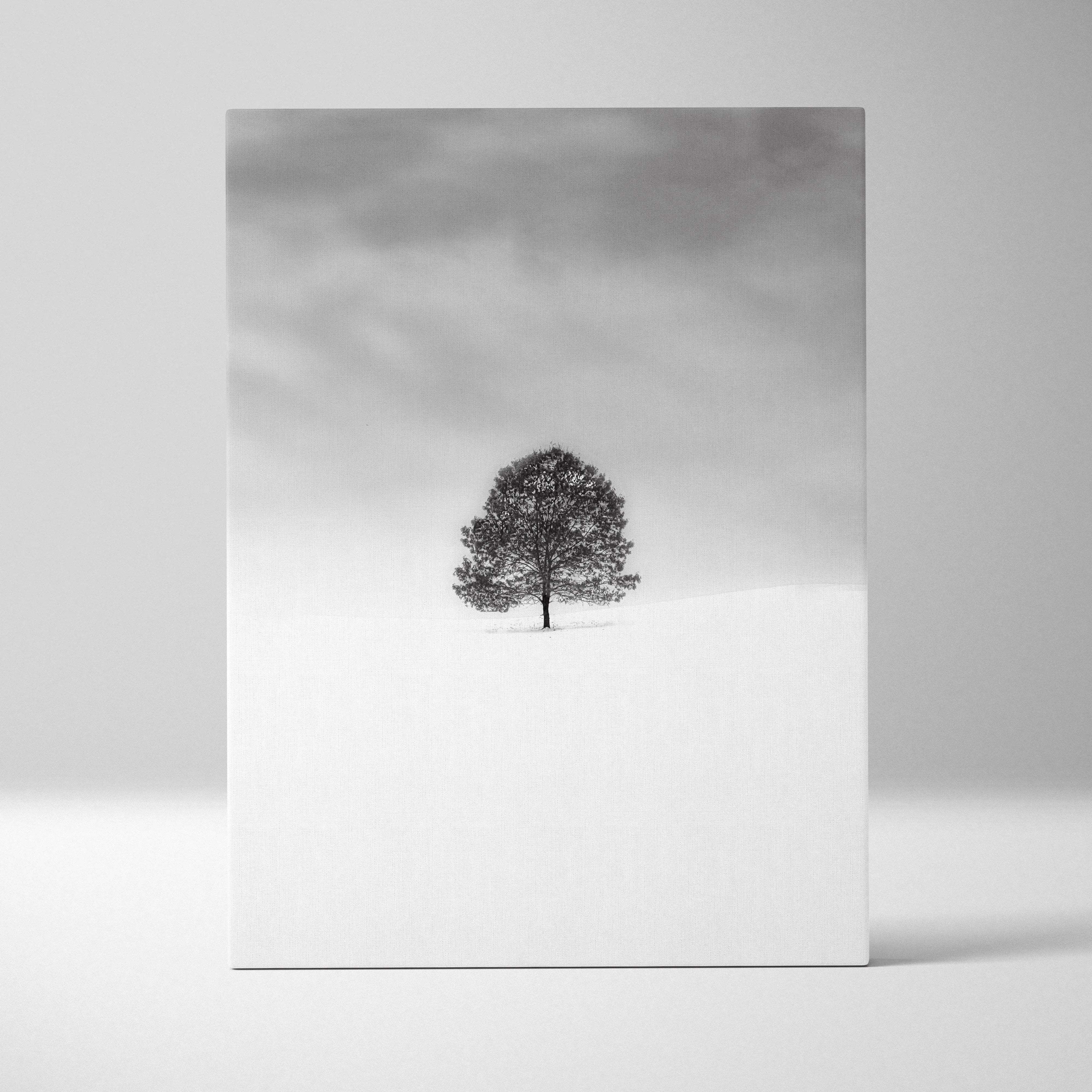 Minimalist black and white lone tree in snowy field canvas art