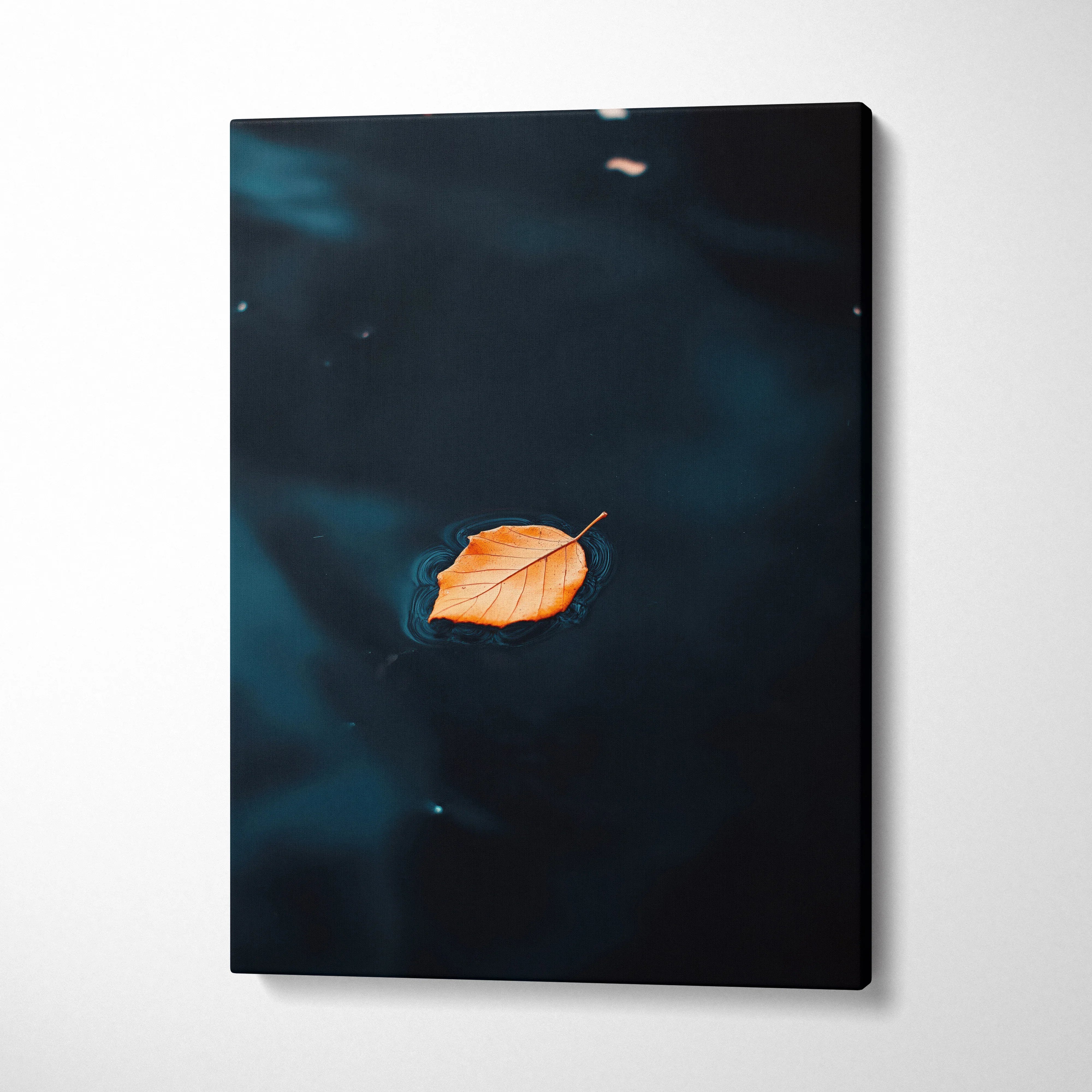 Minimalist autumn leaf floating on dark water canvas wall art print.