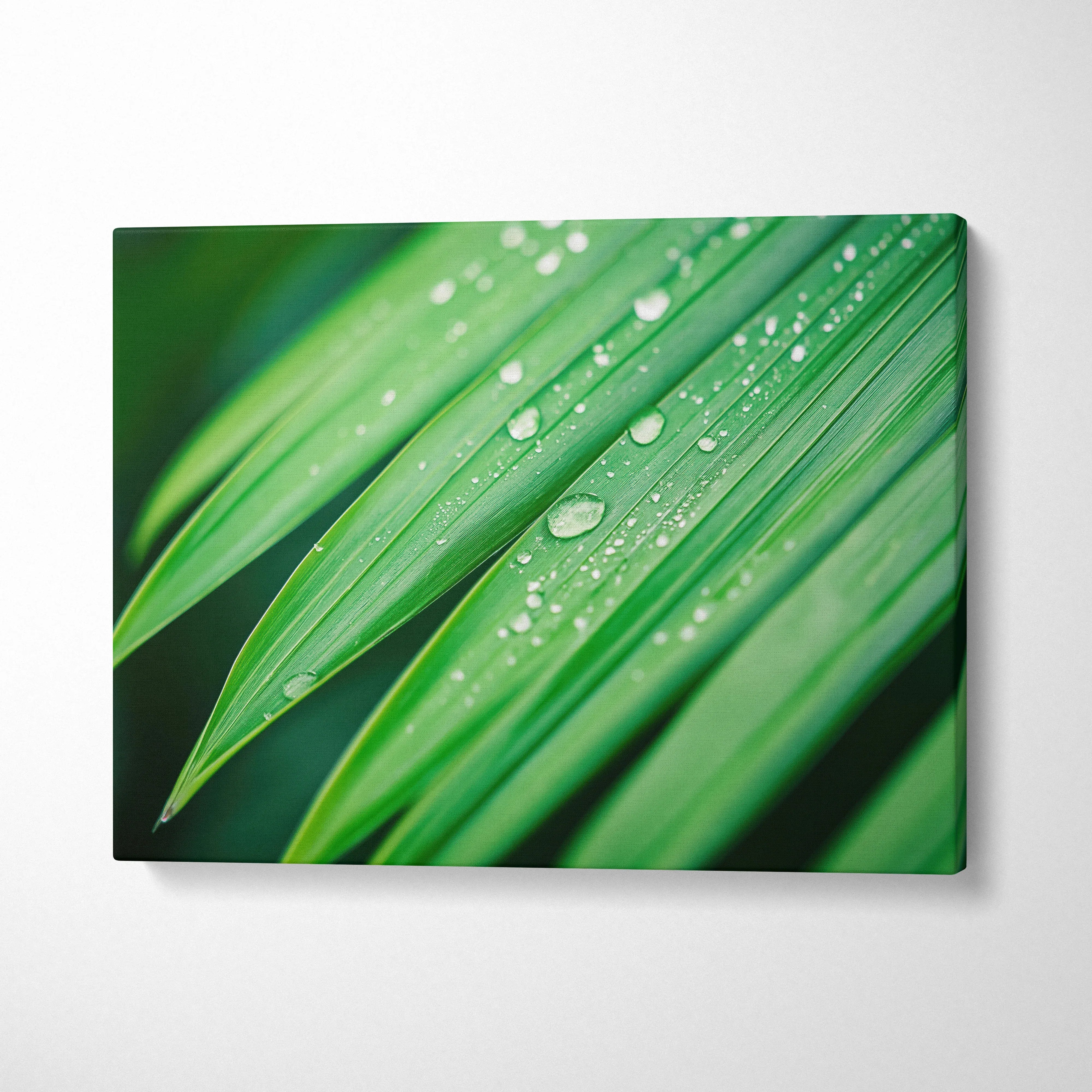 Digital art canvas wall art featuring vibrant green tropical leaves with water droplets decor.