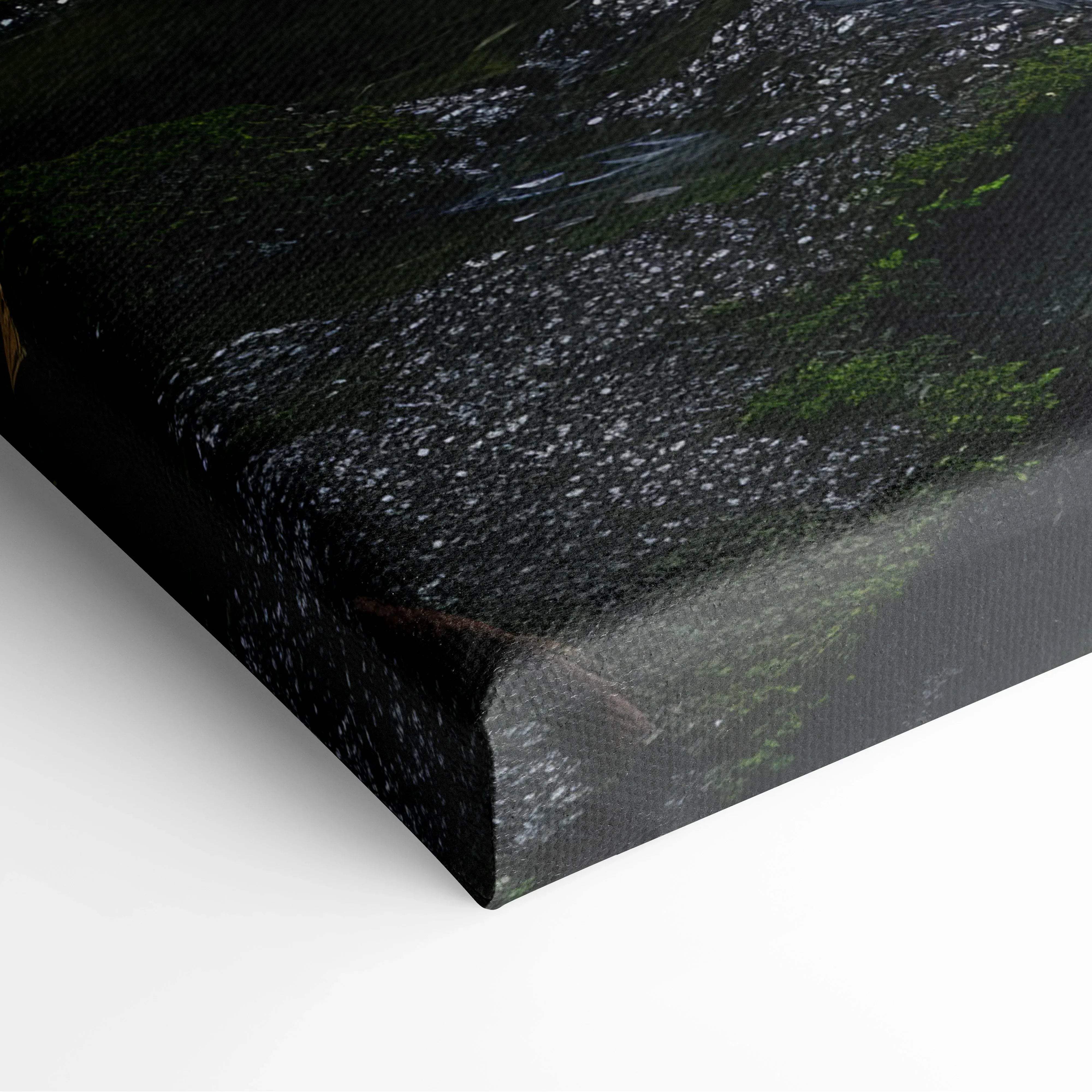 Black canvas print featuring a textured dark forest scene with white highlights and green moss for living room decor