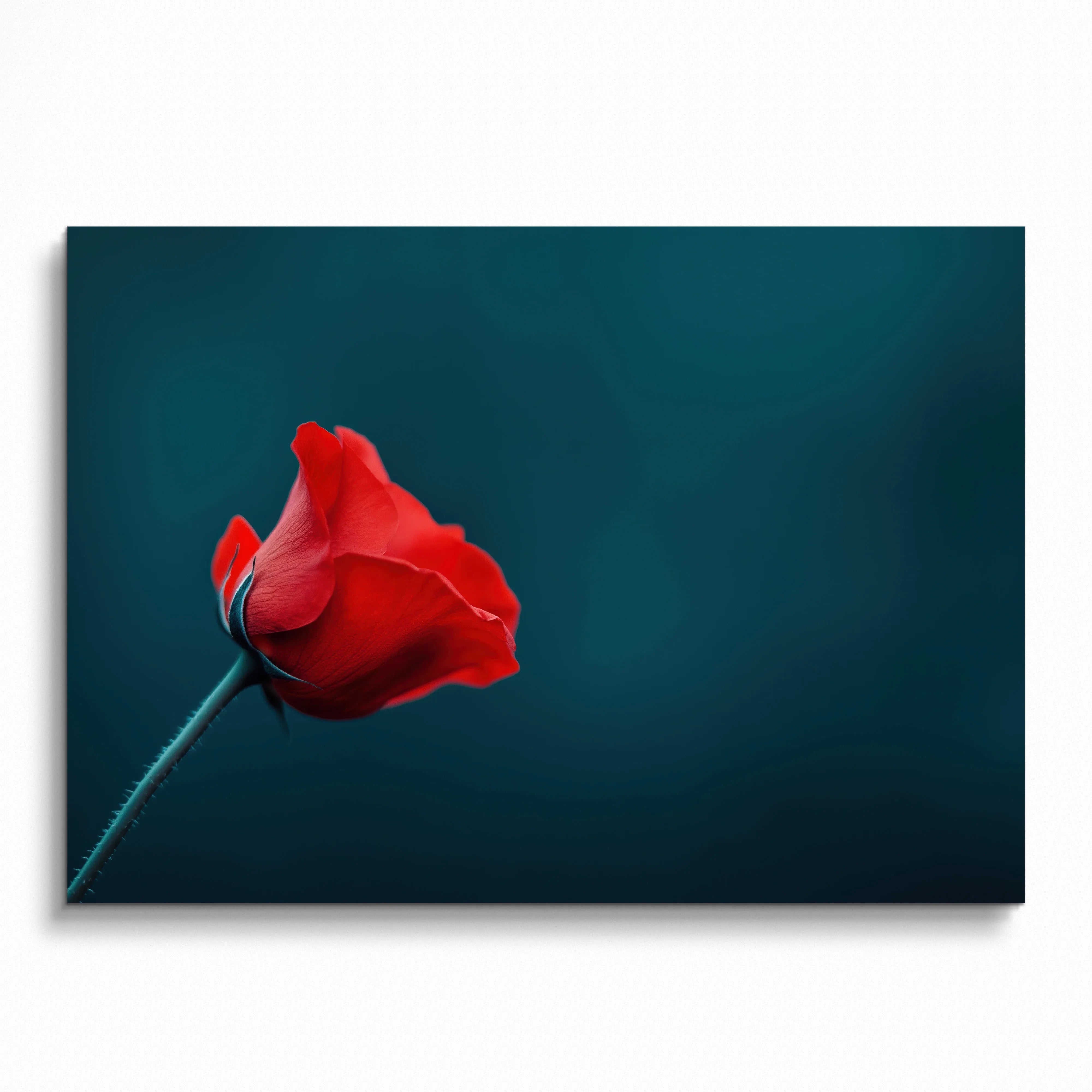 Vibrant red rose floral digital art poster with deep teal background wall art.