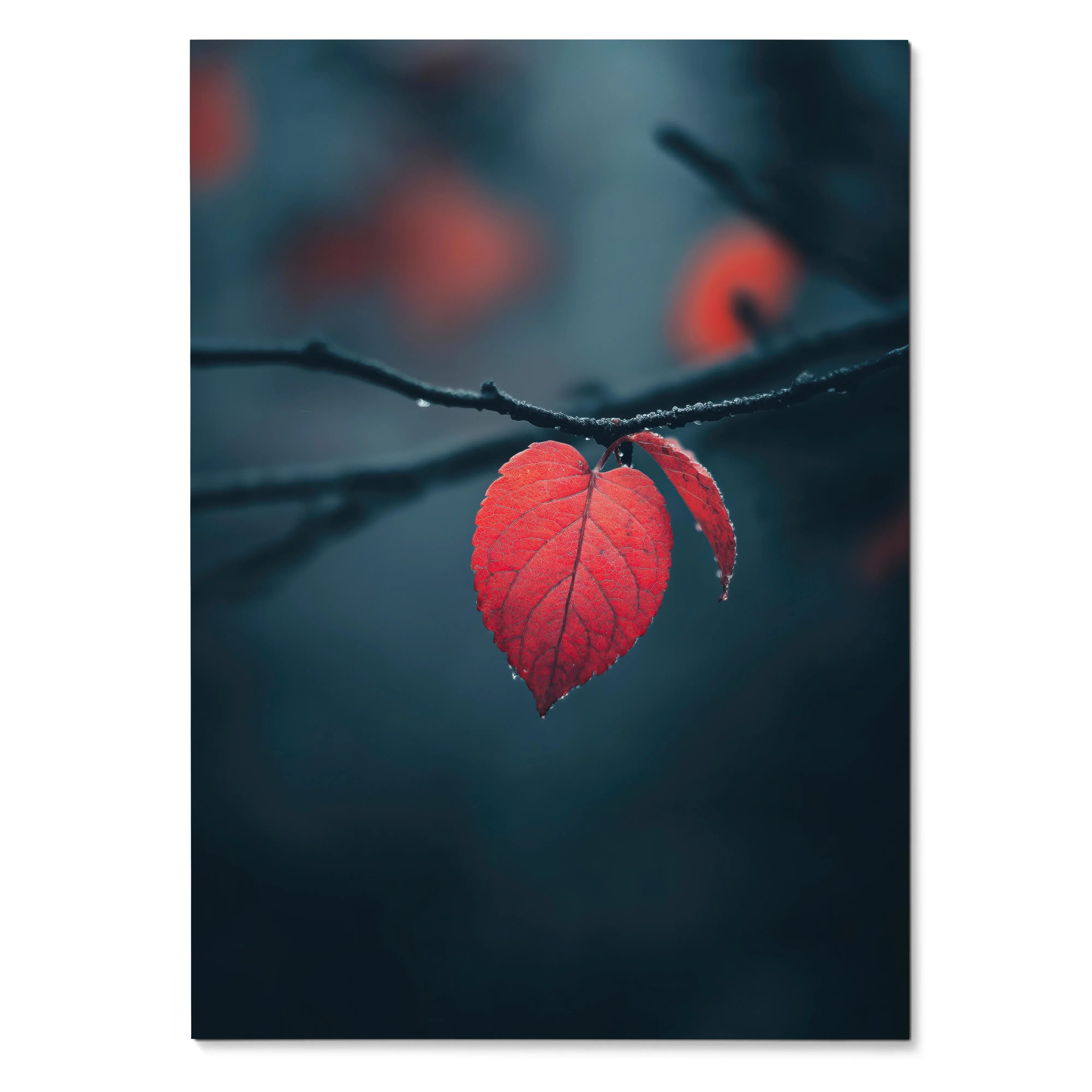 Vertical wall art poster featuring a single red autumn leaf on a dark blurred background.