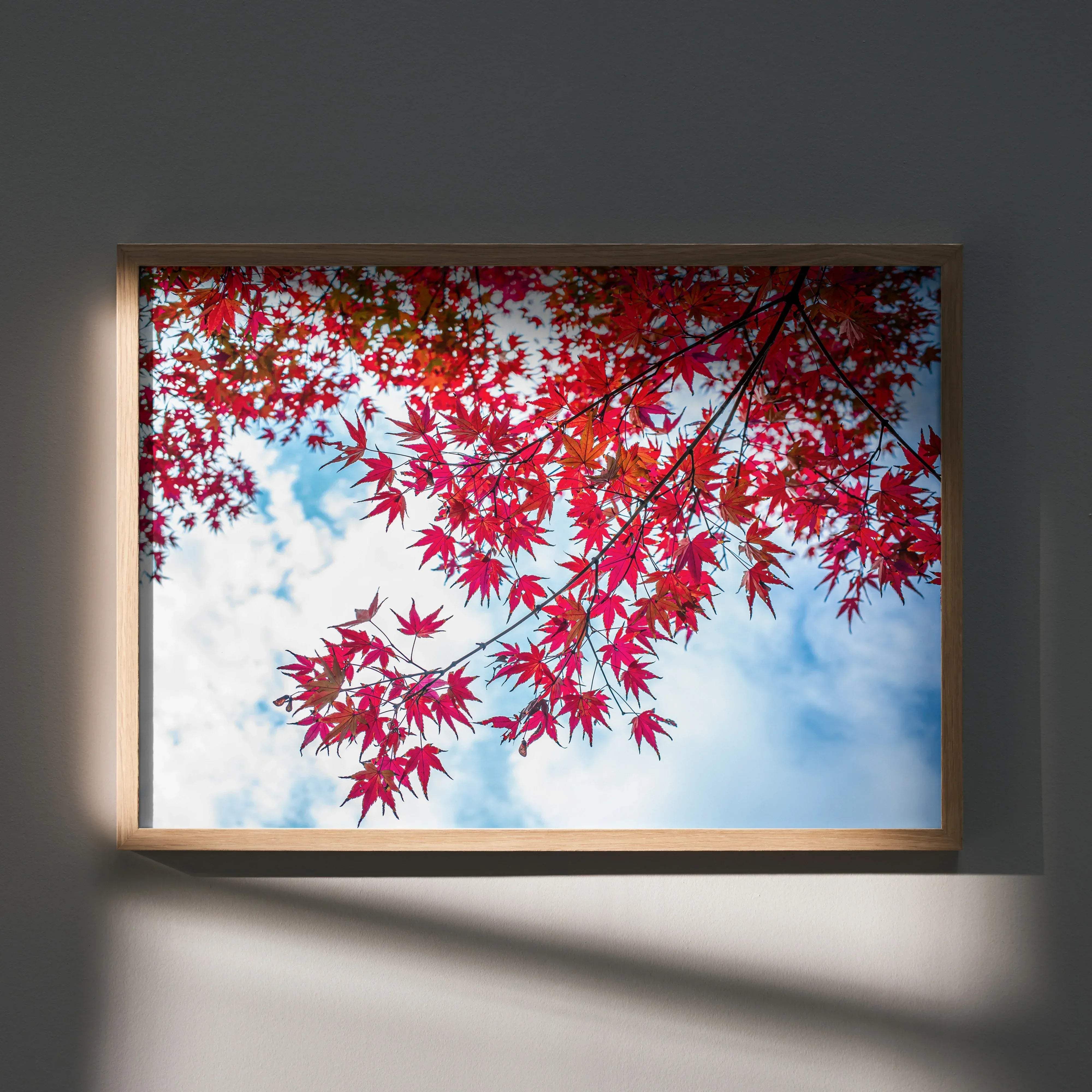 A rectangular framed vibrant autumn nature art poster featuring red maple leaves against a blue sky in a light wood frame