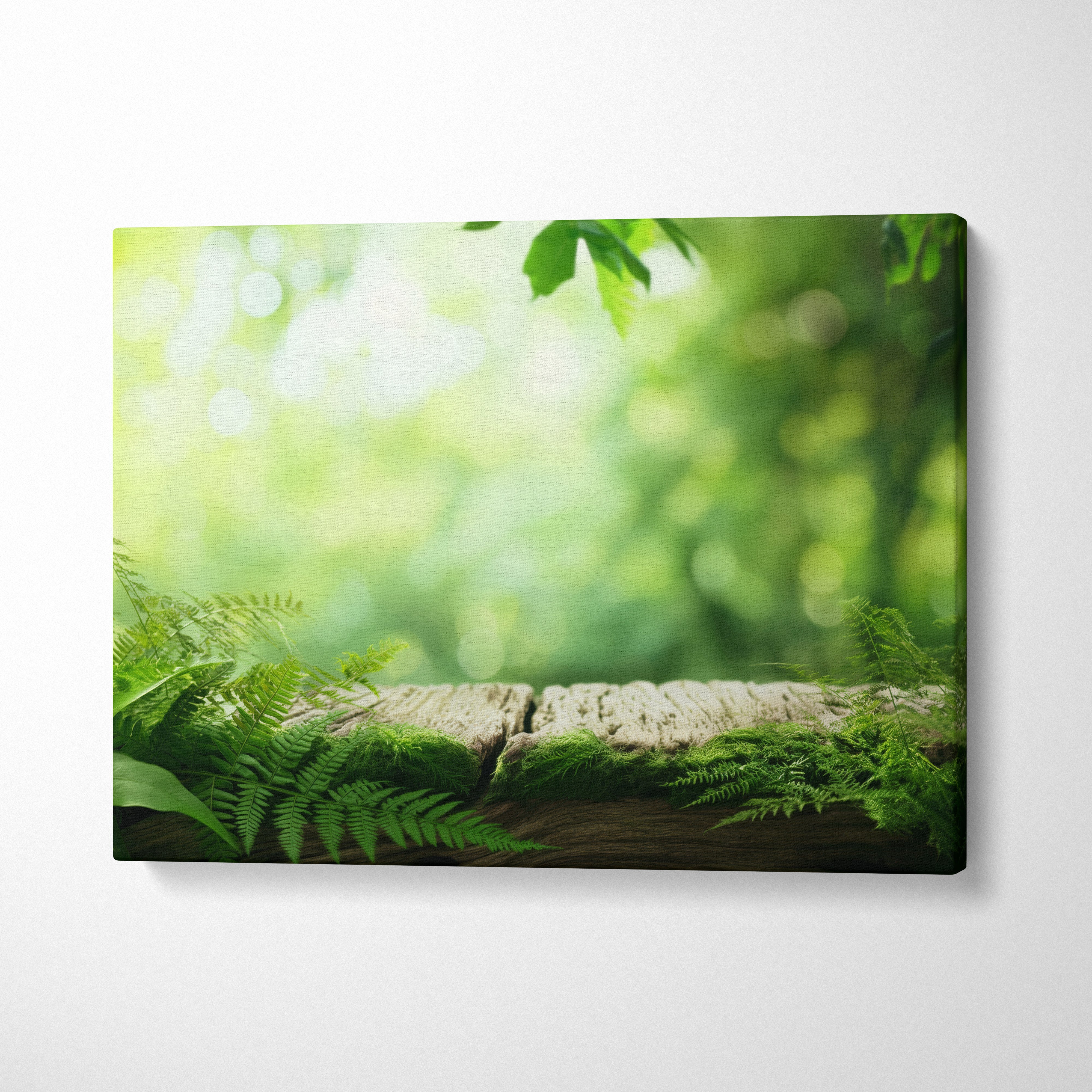 Nature landscape canvas wall art featuring green fern leaves and blurred forest background.