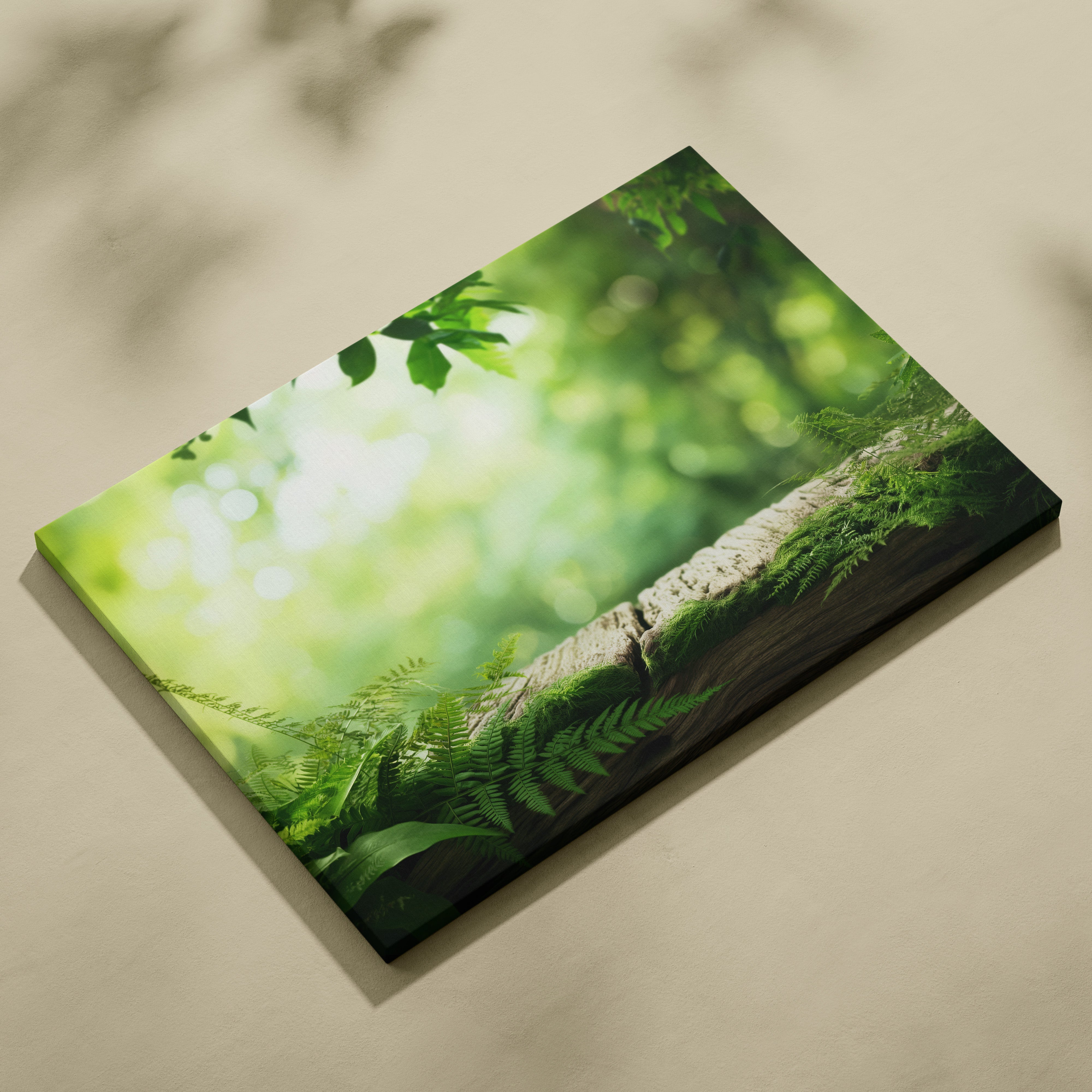 Canvas wall art featuring a close-up of vibrant green ferns and tree bark in soft natural light.