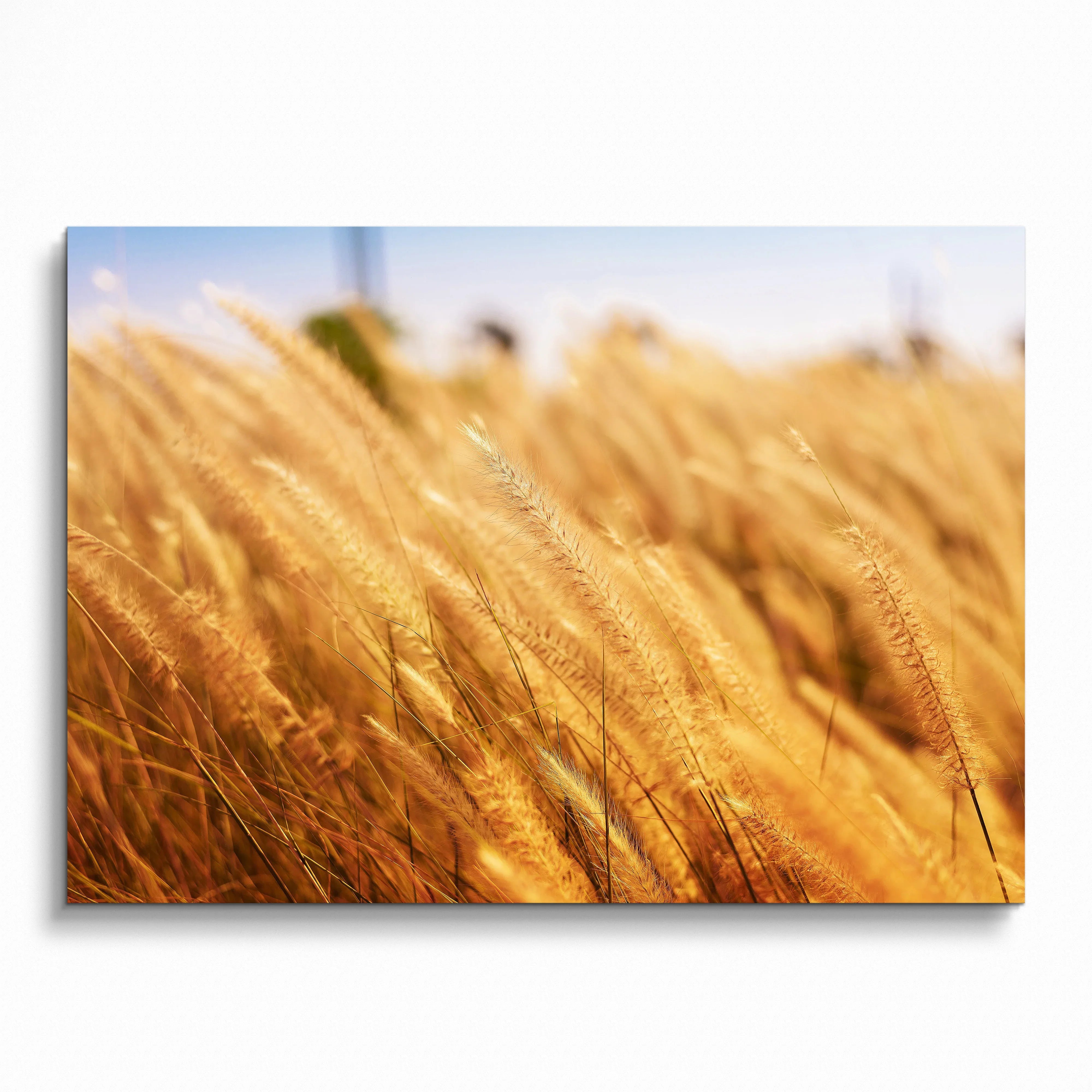 Serene Nature Landscape Wall Art poster featuring golden wheat field under blue sky.