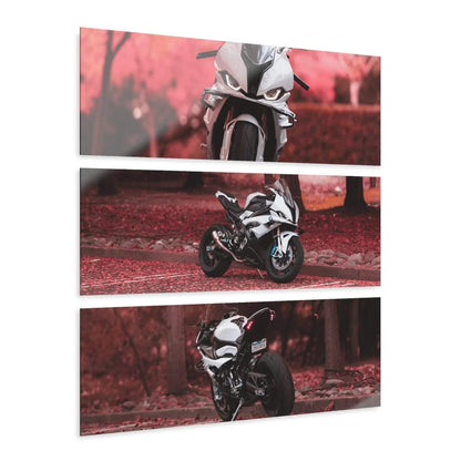 Three-piece canvas wall art featuring a BMW S1000RR motorcycle with a red autumn forest background.