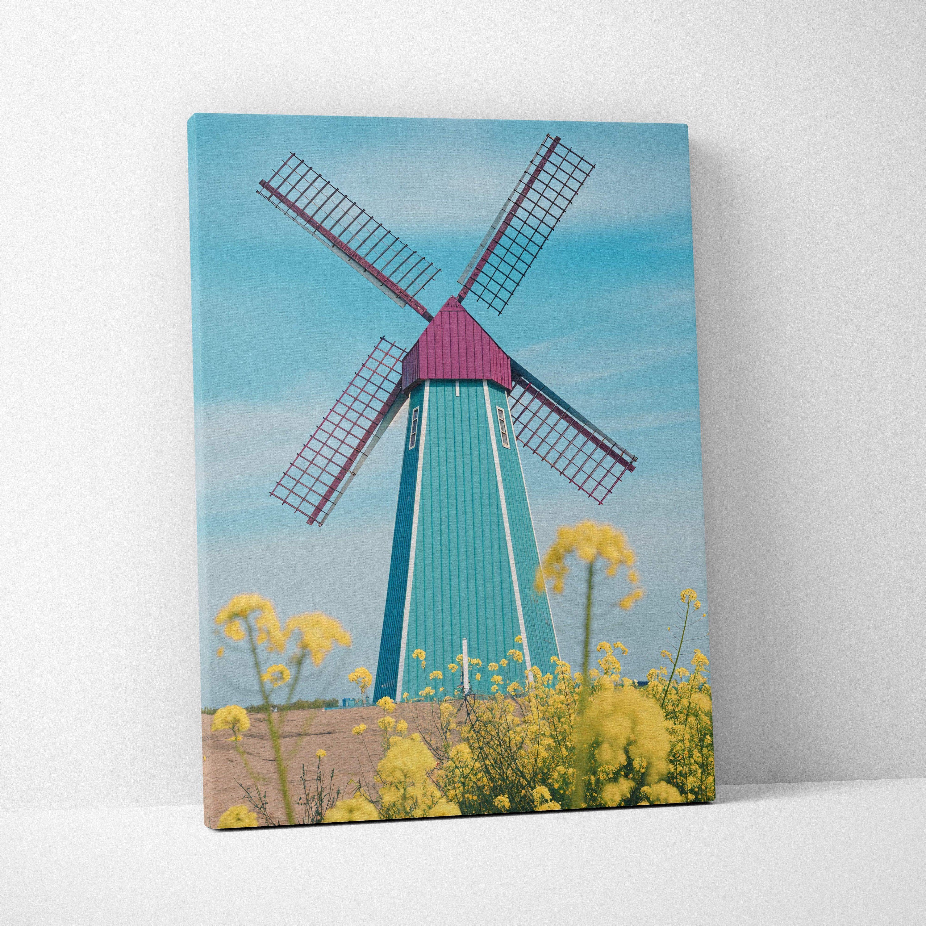 Vibrant teal magenta windmill canvas print with yellow flowers foreground