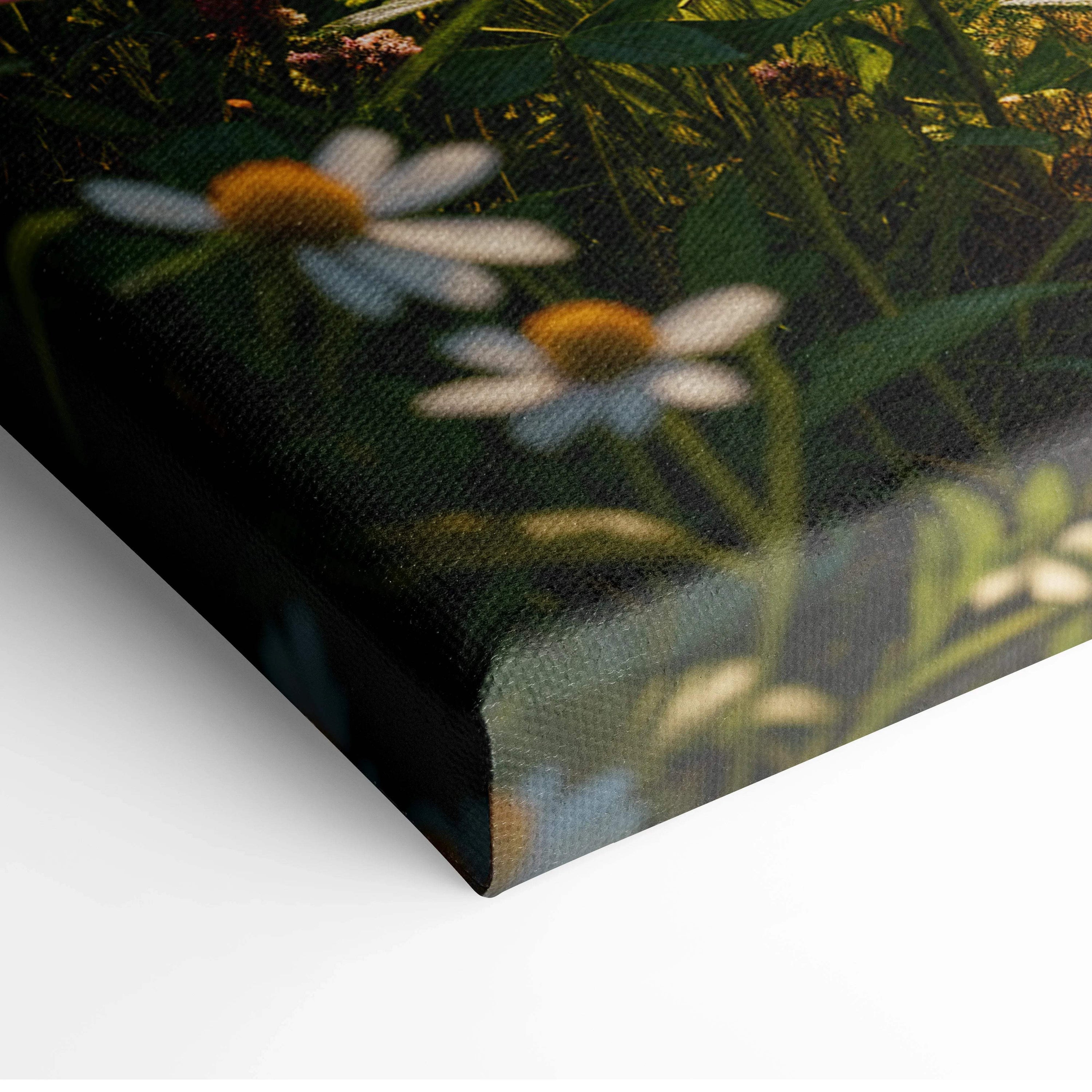 Canvas print of white daisies in green foliage, nature wall art