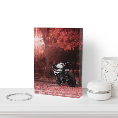 BMW S1000RR Motorcycle Acrylic Photo Block #017 - Throttle Designs