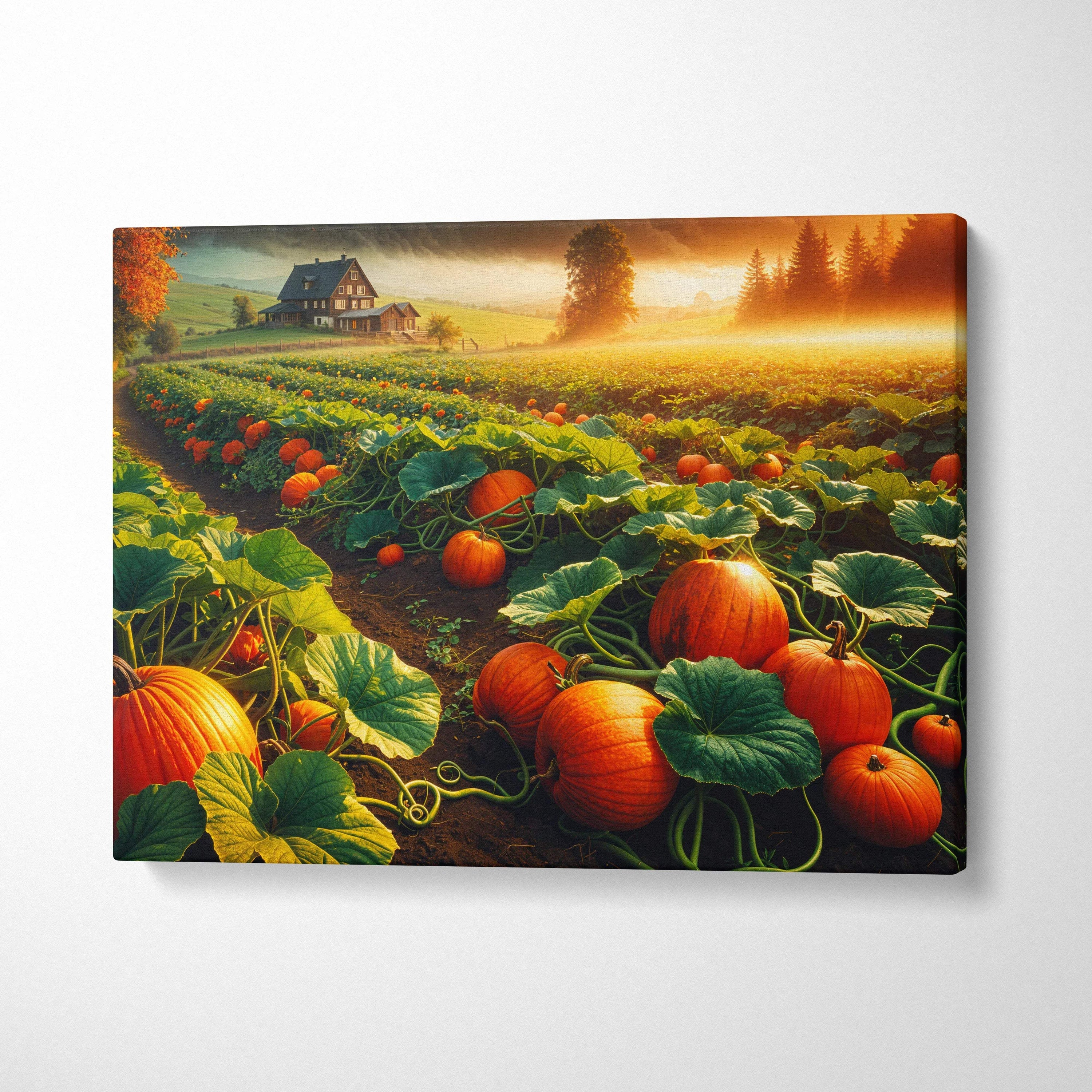 Sunlit orange pumpkin fields toward quiet autumn farmhouse mist canvas art
