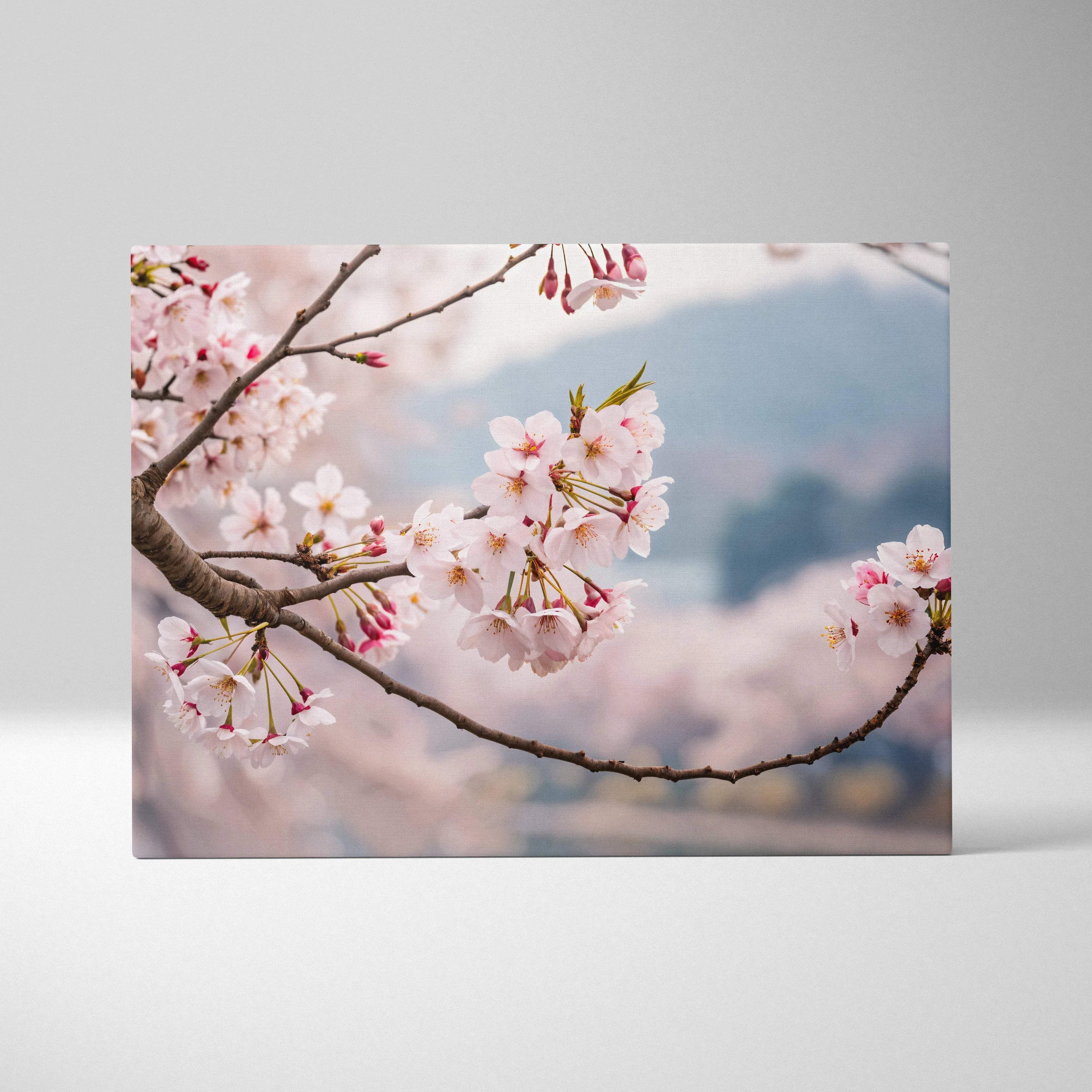 Soft pink cherry blossoms on branch framing misty mountain lake canvas art