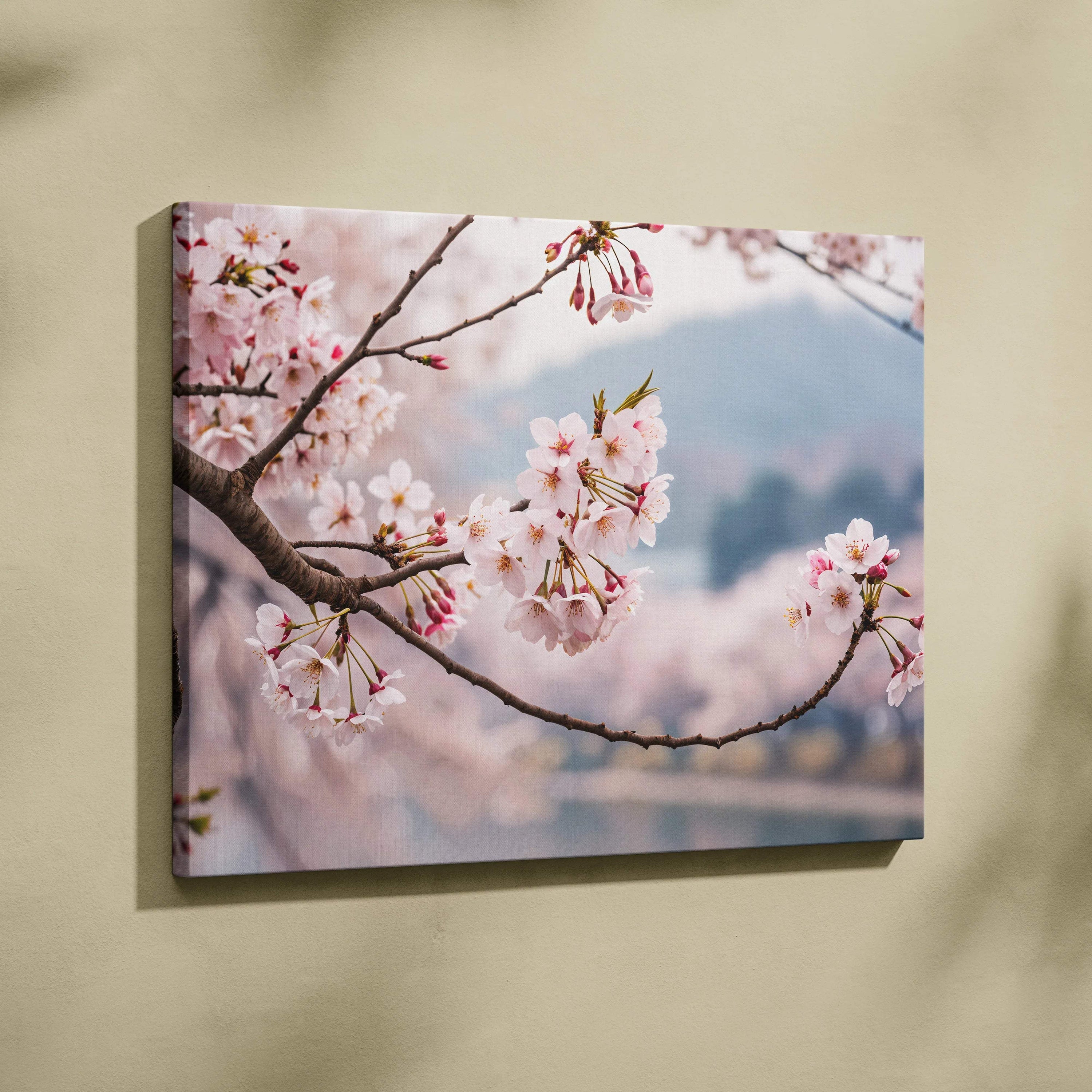 Soft pink cherry blossoms on branch framing misty mountain lake canvas print on wall