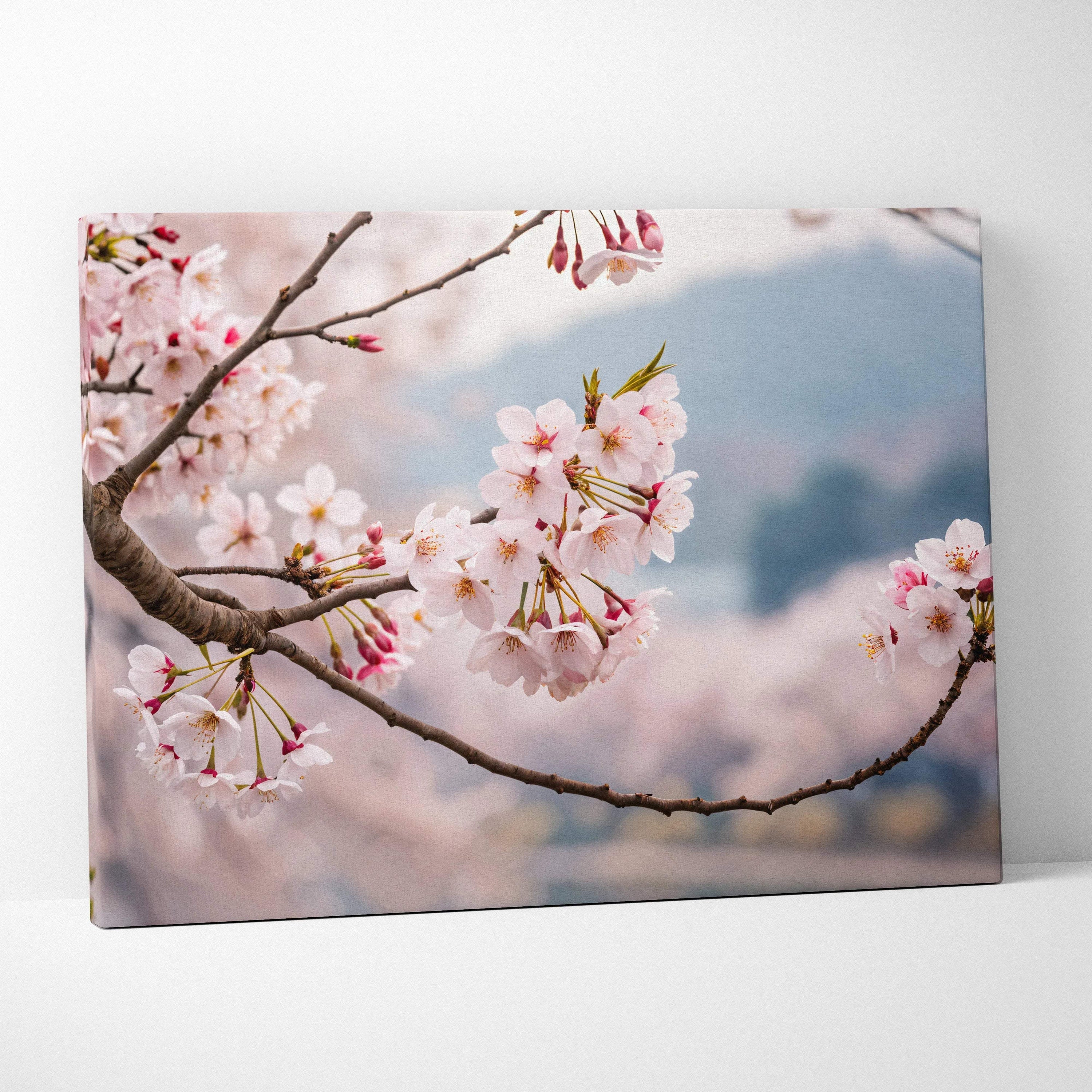 Soft pink cherry blossoms on branch framing misty mountain lake canvas art