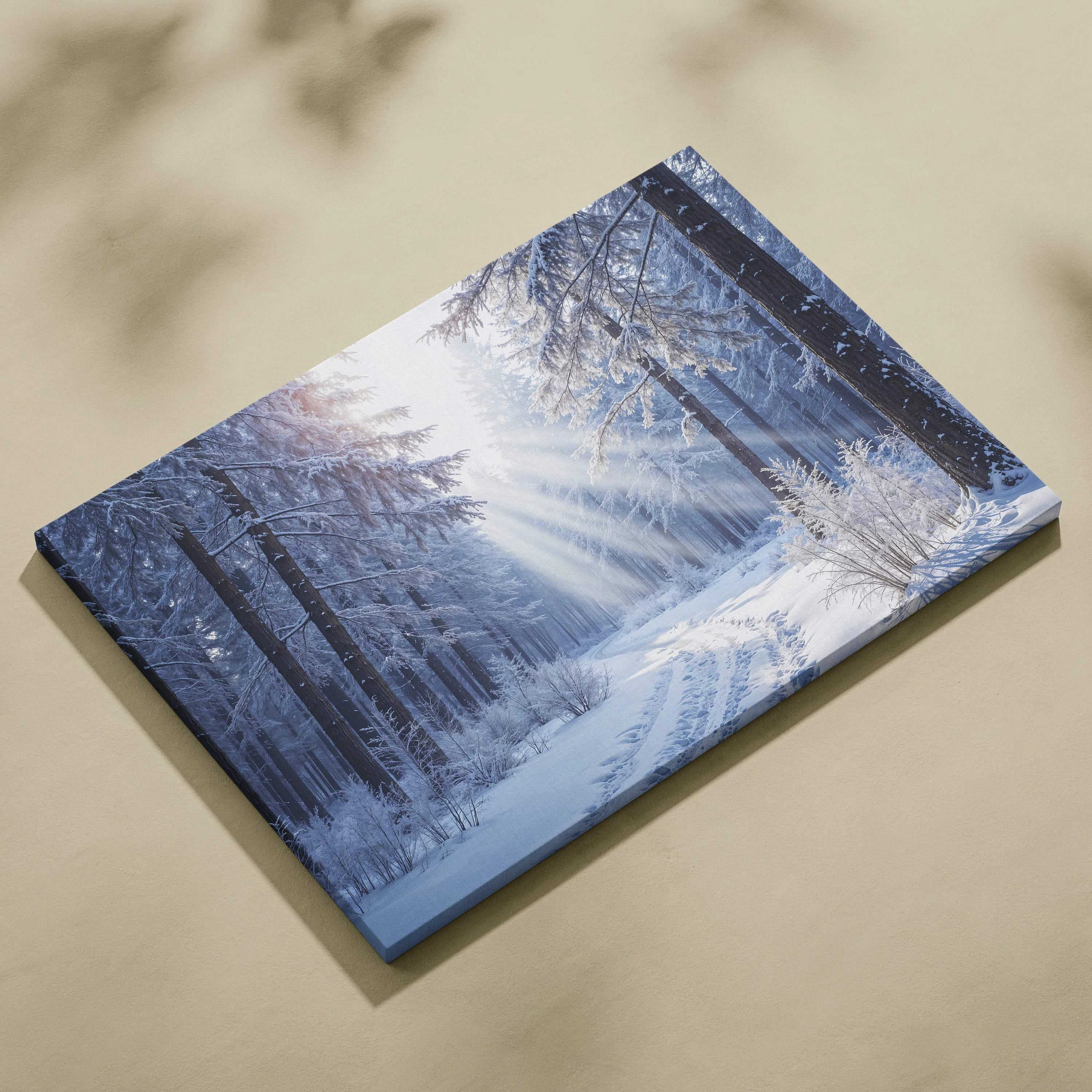 Blue and white snowy forest canvas print with sun rays through trees