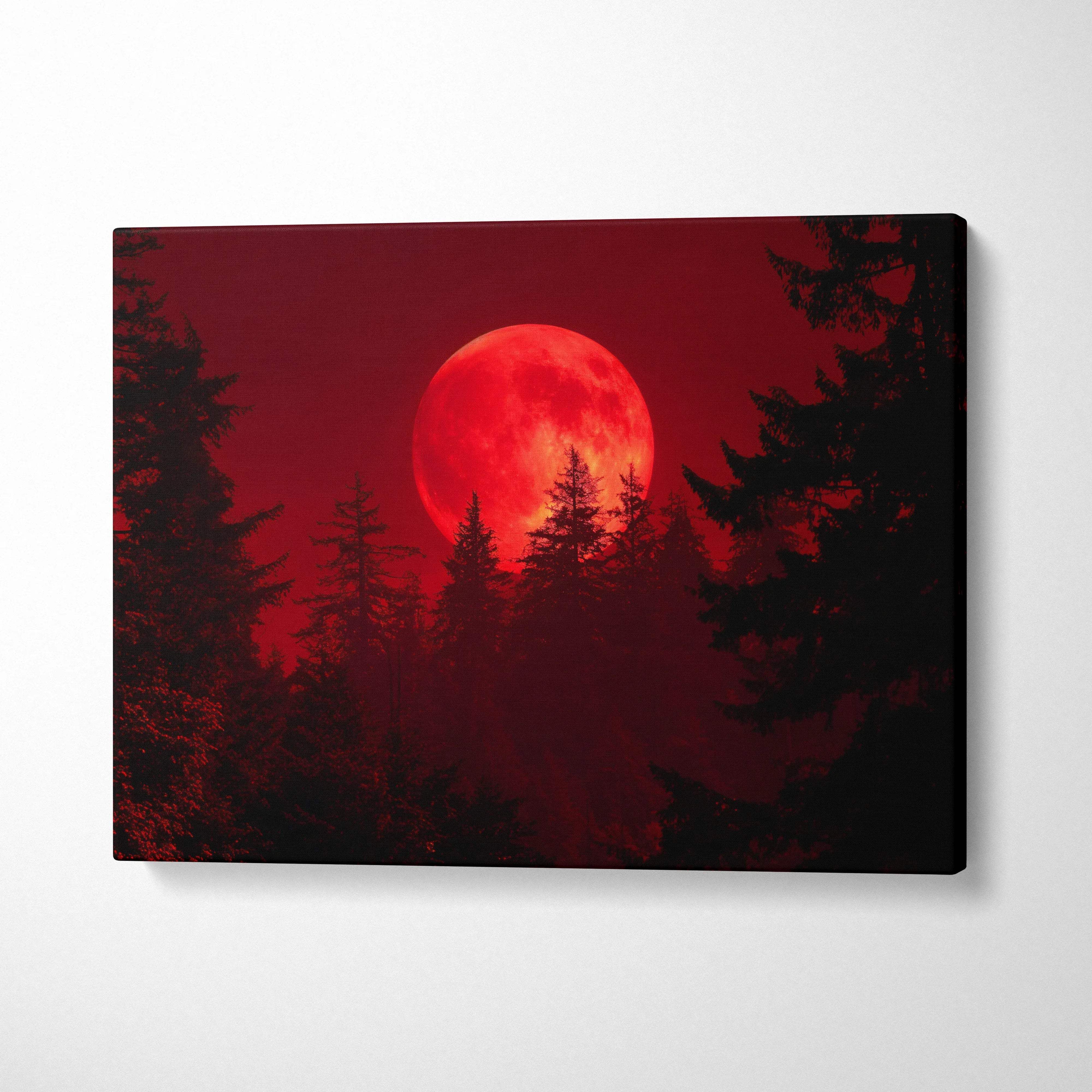 Blood red moon rising over silhouetted pine trees canvas art