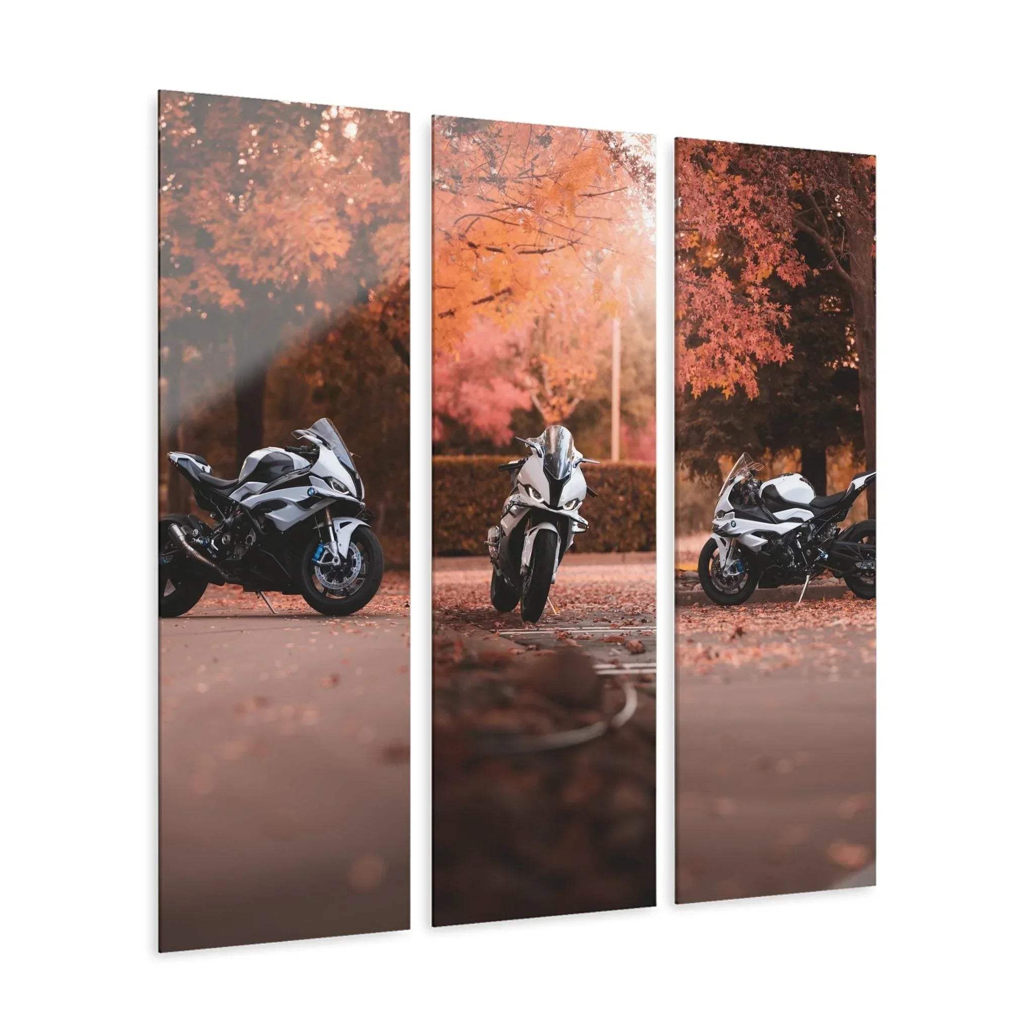 Three-piece acrylic canvas wall art featuring BMW S1000RR motorcycle with autumn leaves in the background.
