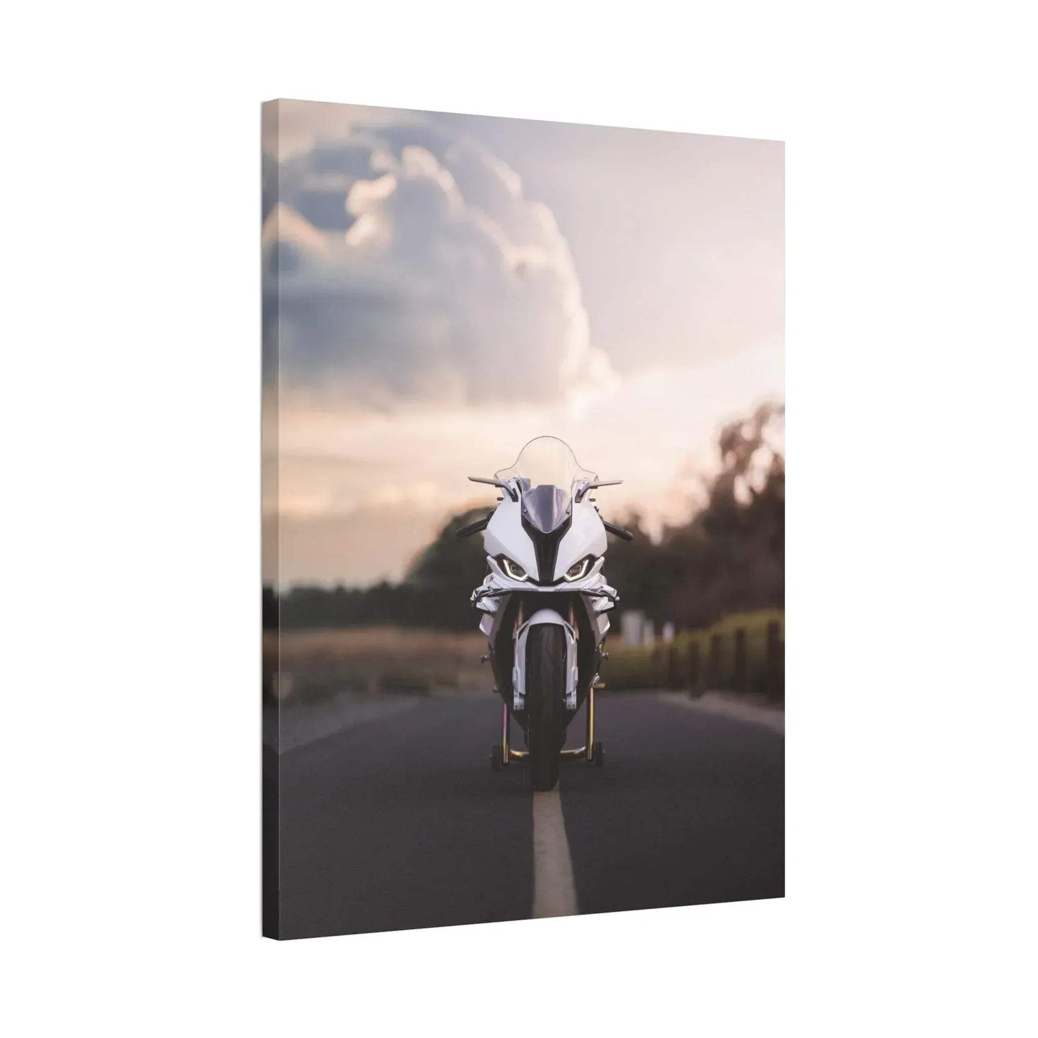 BMW S1000RR motorcycle facing forward on road at sunset, vertical canvas wall art print.