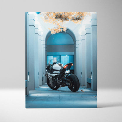 BMW S1000RR motorcycle vertical canvas art with architectural archway background.