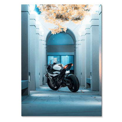 BMW S1000RR motorcycle poster with sleek black and white bike under architectural arches, wall art.